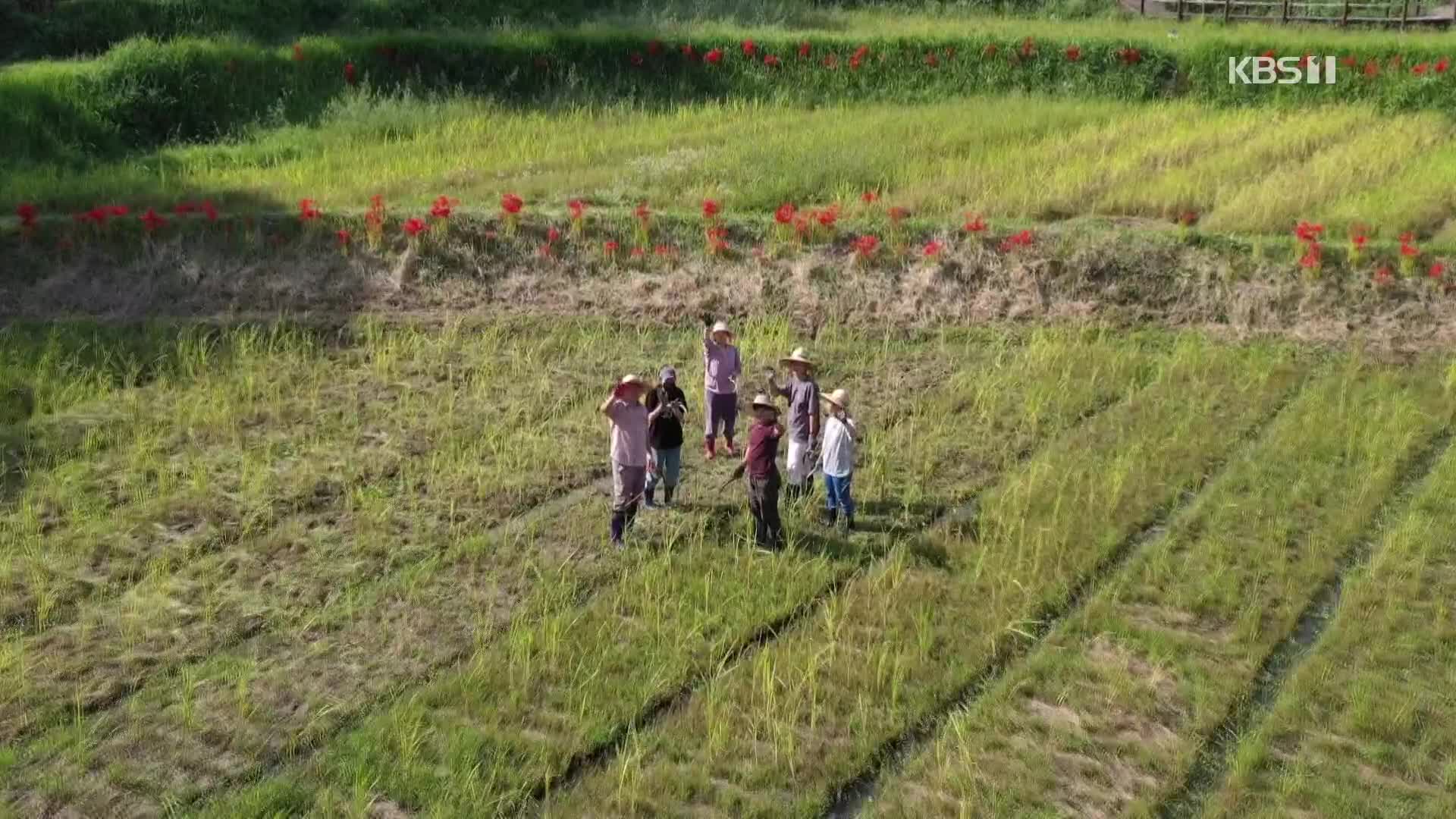 ‘자연과 공존’ 시도하는 젊은 소농들