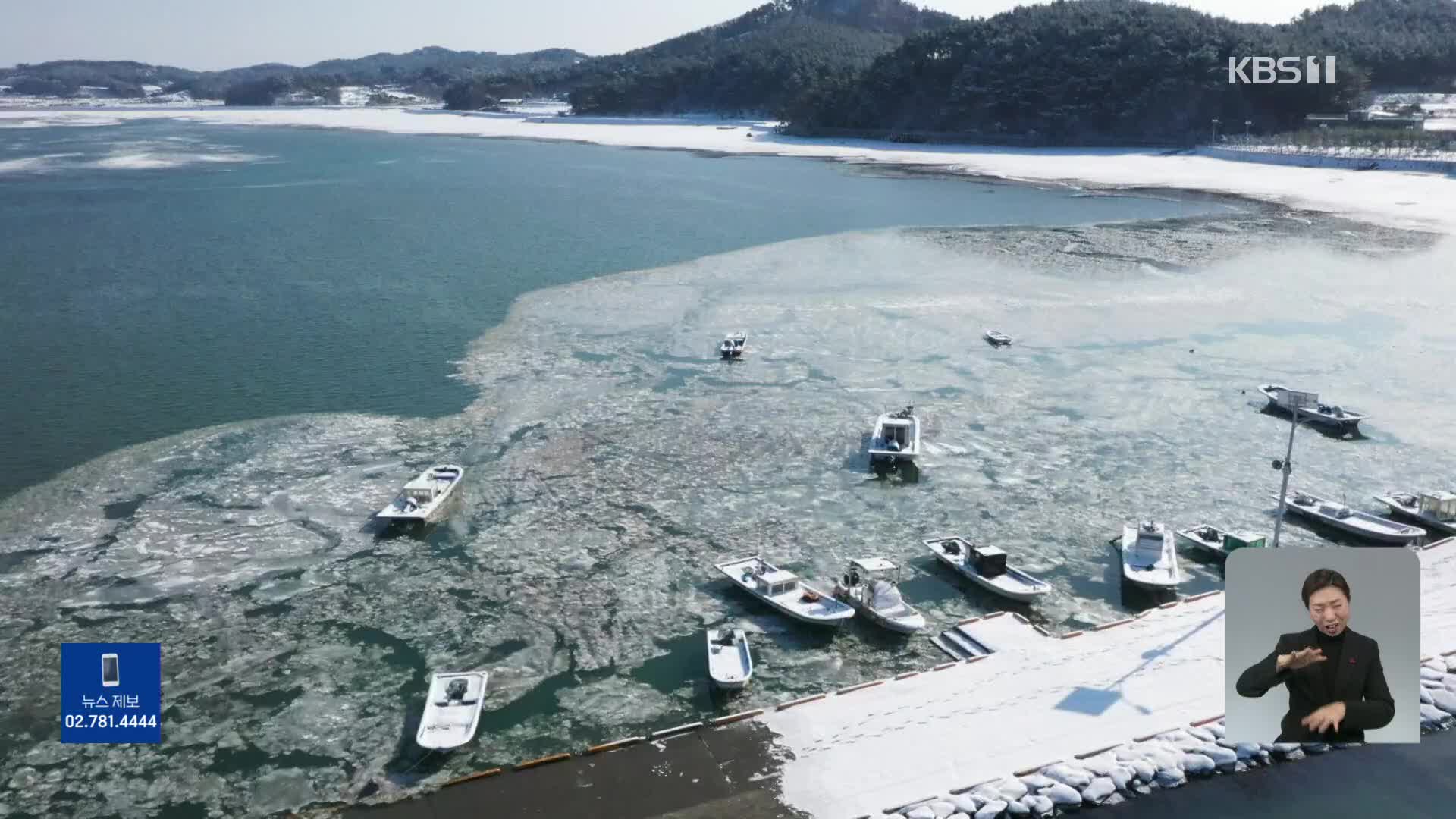 매서운 한파에 바다도 얼었다…양식어민 ‘발 동동’