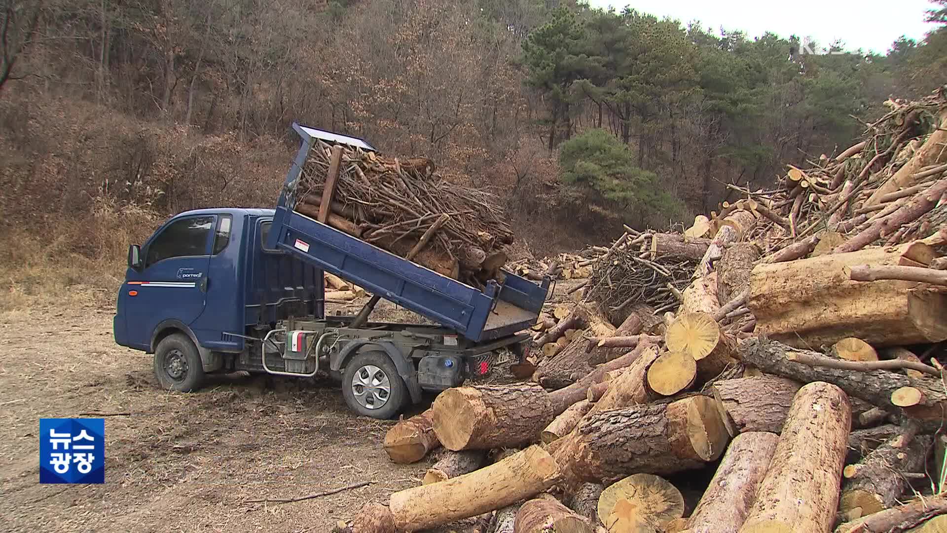 산불 불쏘시개 ‘훈증 더미’…치우고 치워도 156만 개 여전