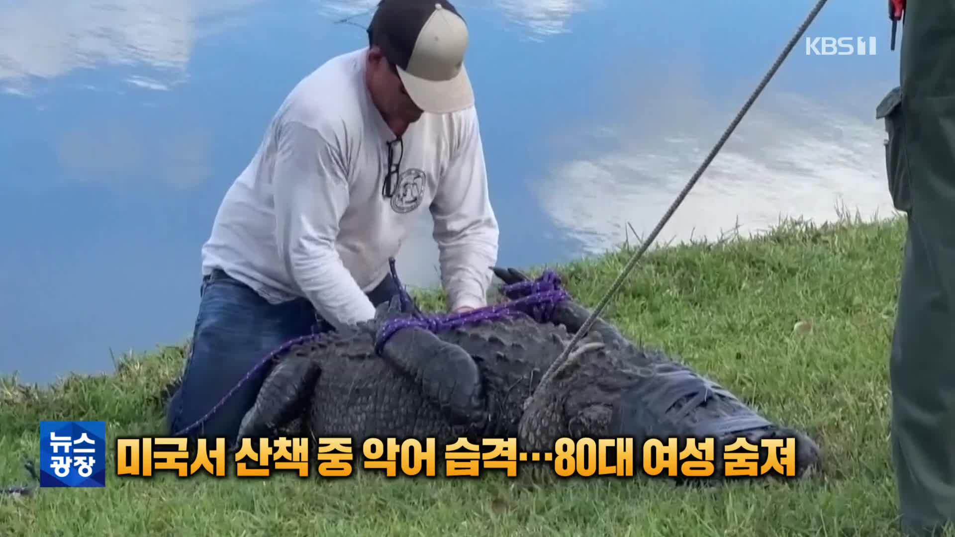 [톡톡 지구촌] 미국서 반려견 산책 중 악어 습격…80대 여성 숨져