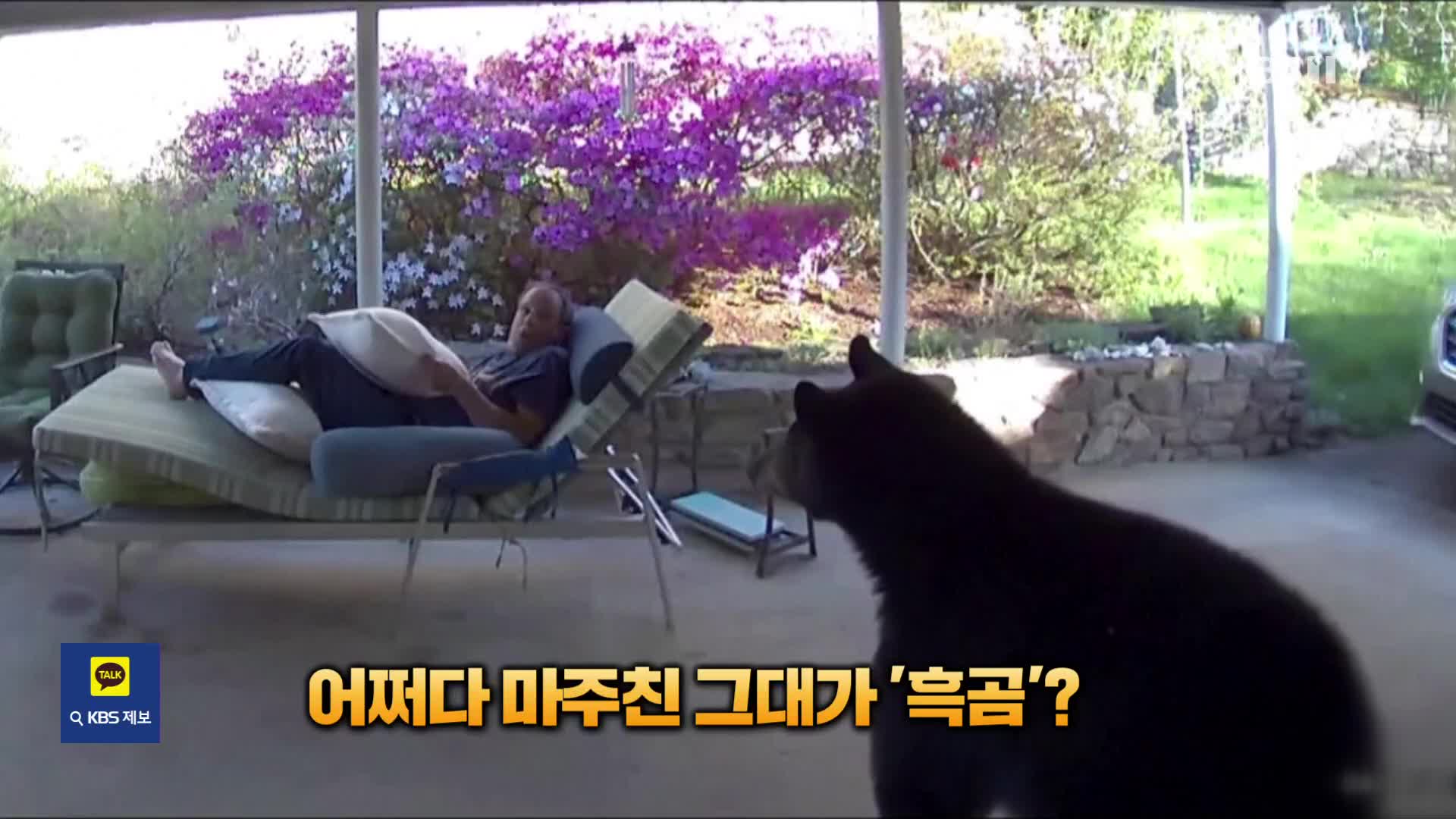 [잇슈 SNS] 어쩌다 마주친 그대가 ‘흑곰’?