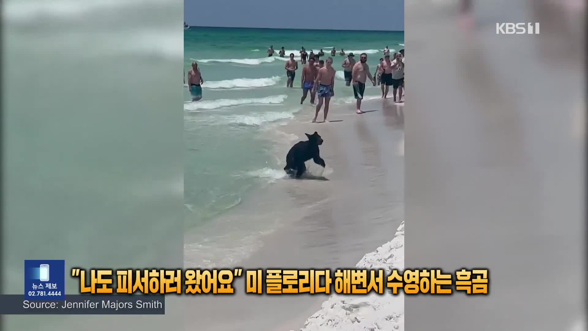 [잇슈 SNS] “나도 피서하러 왔어요” 미 플로리다 해변서 수영한 흑곰
