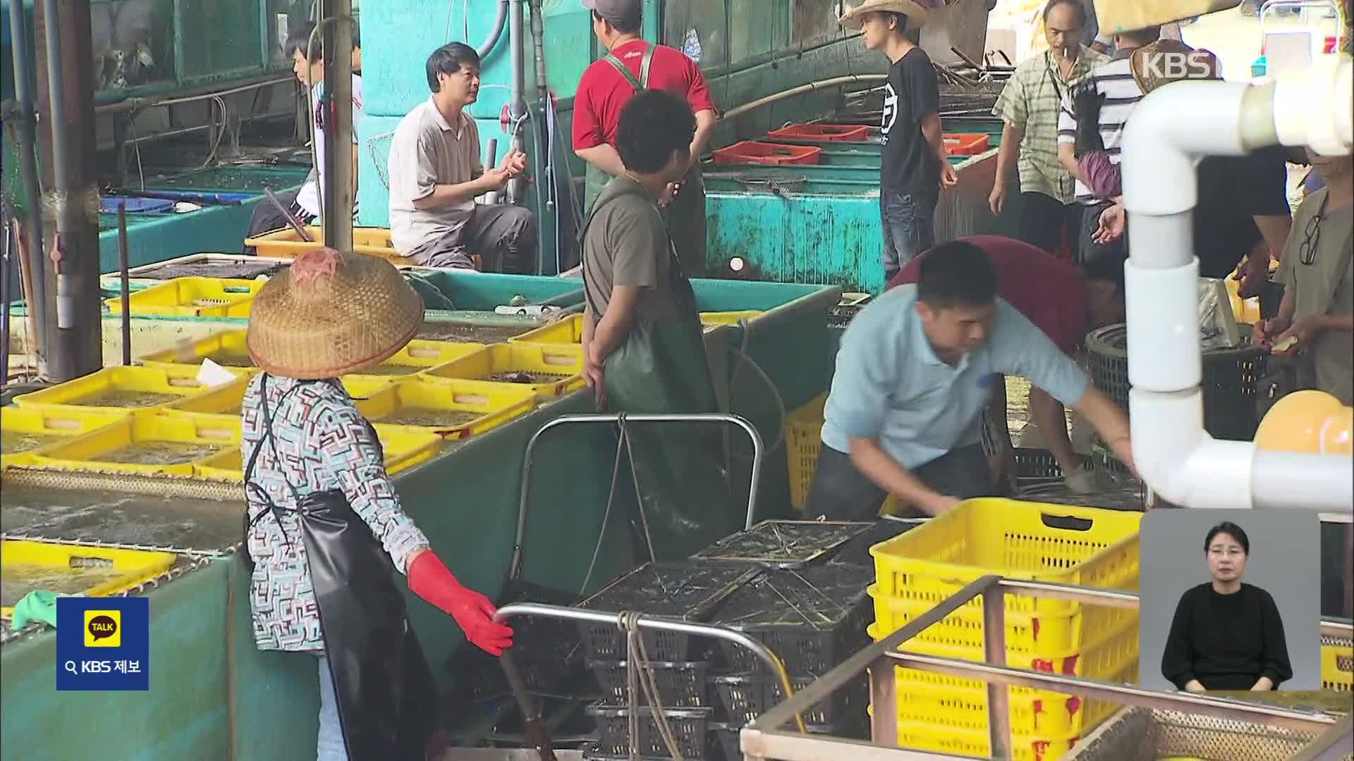 오염수 방류 앞두고, 홍콩은 일본 수산물 검역 강화