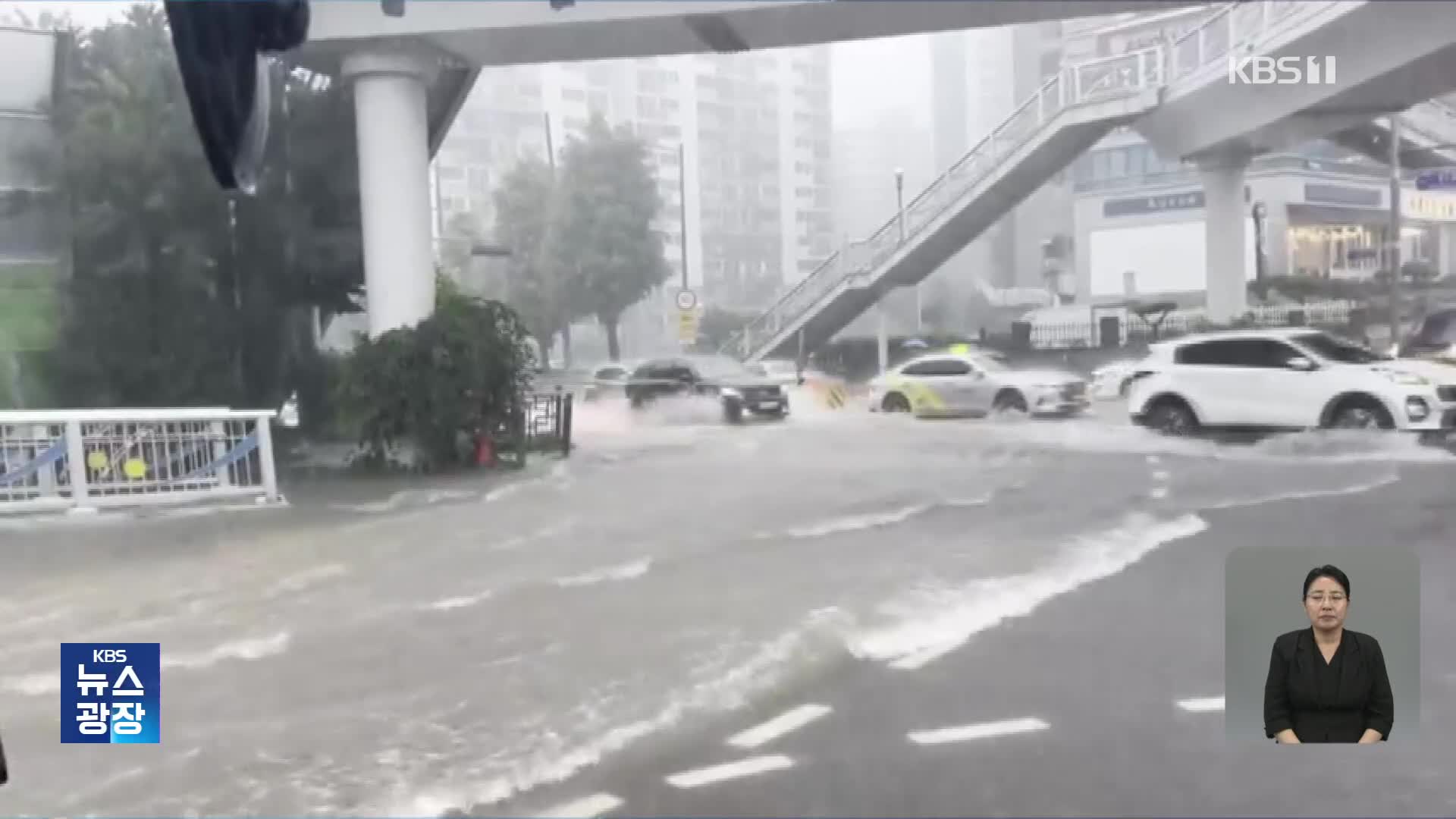 시간당 50mm 기습 폭우…광주·전남에도 피해 속출