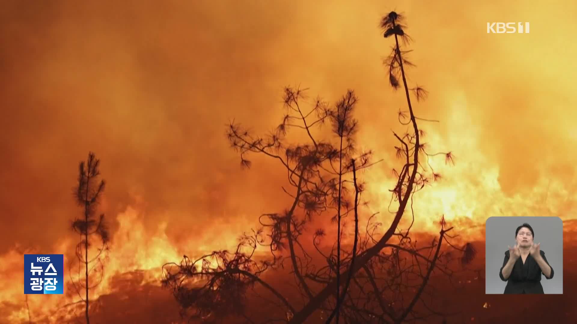 미국, 폭염에 산불까지 잇따라…“서울 면적 절반 불타”