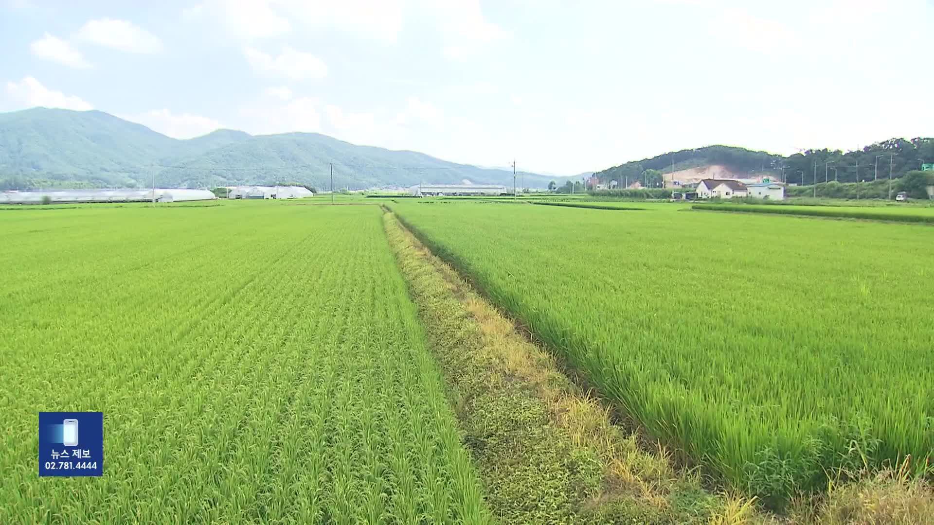 연일 ‘전국 최고기온’ 찍은 여주…왜?