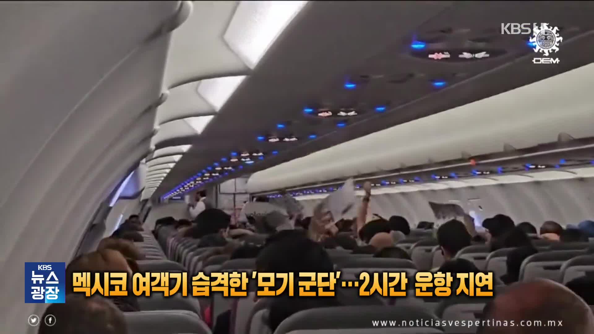 [잇슈 SNS] 멕시코 여객기 습격한 ‘모기 군단’…2시간 지연까지