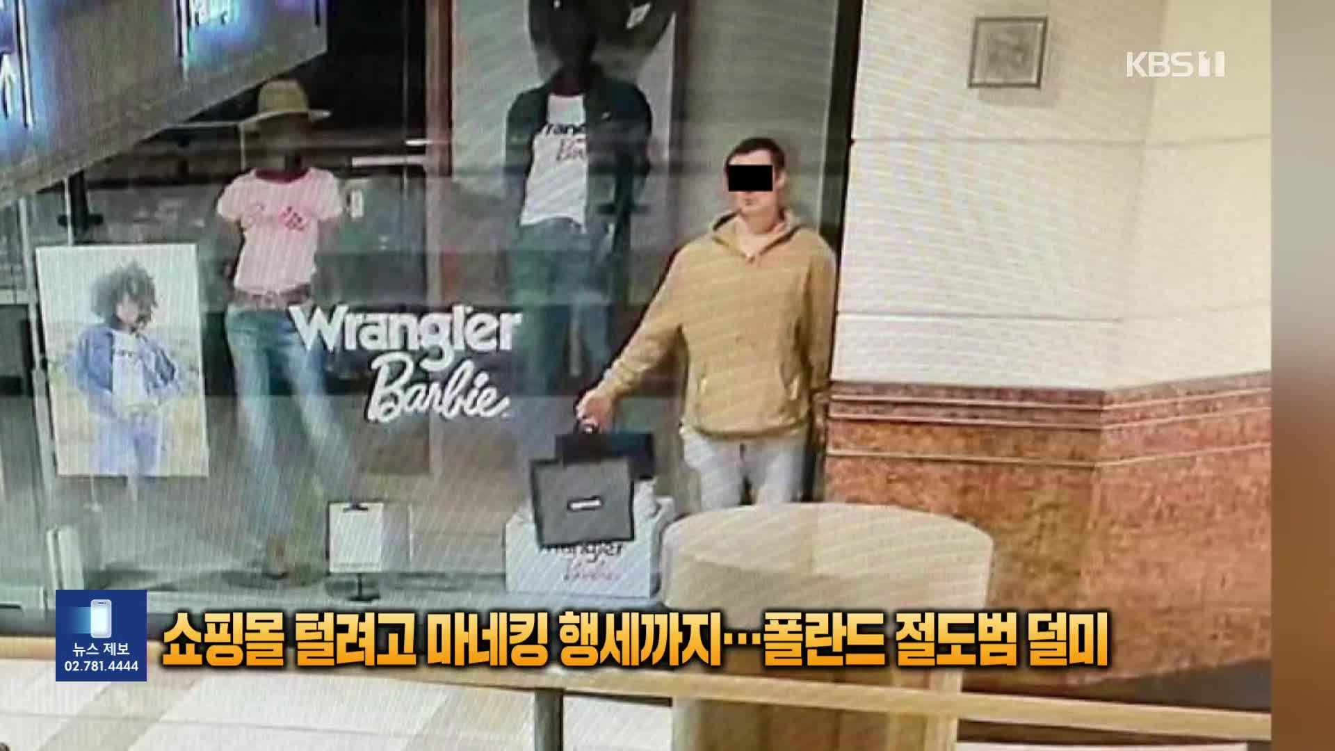 쇼핑몰 털려고 마네킹 행세까지…폴란드 절도범 덜미 [잇슈 SNS]