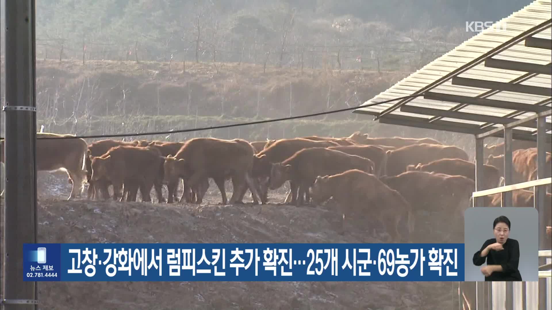 고창·강화에서 럼피스킨 추가 확진…25개 시군·69농가 확진