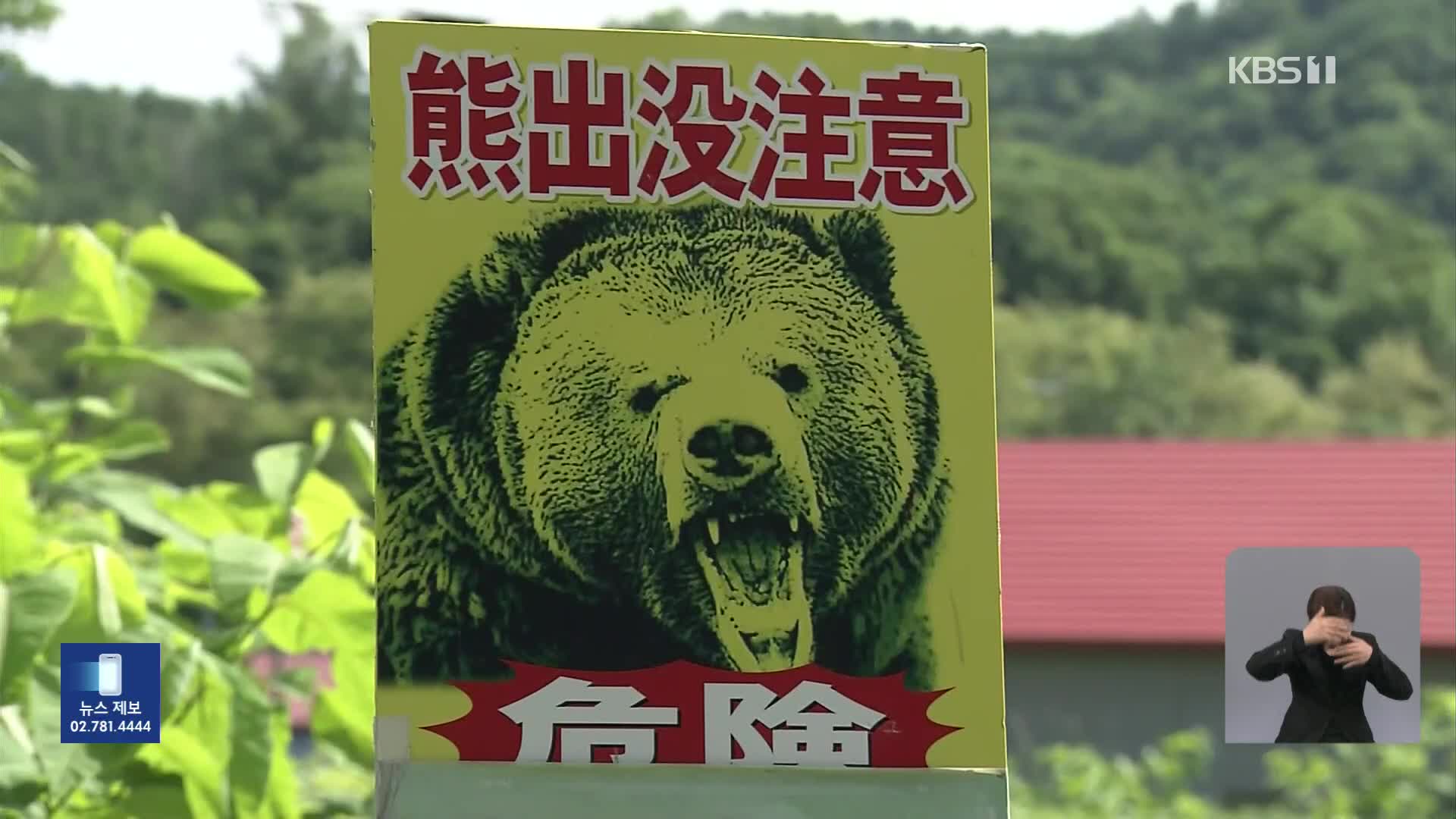 주택가 덮친 일본 곰, 피해 최다…“여행객도 주의해야”