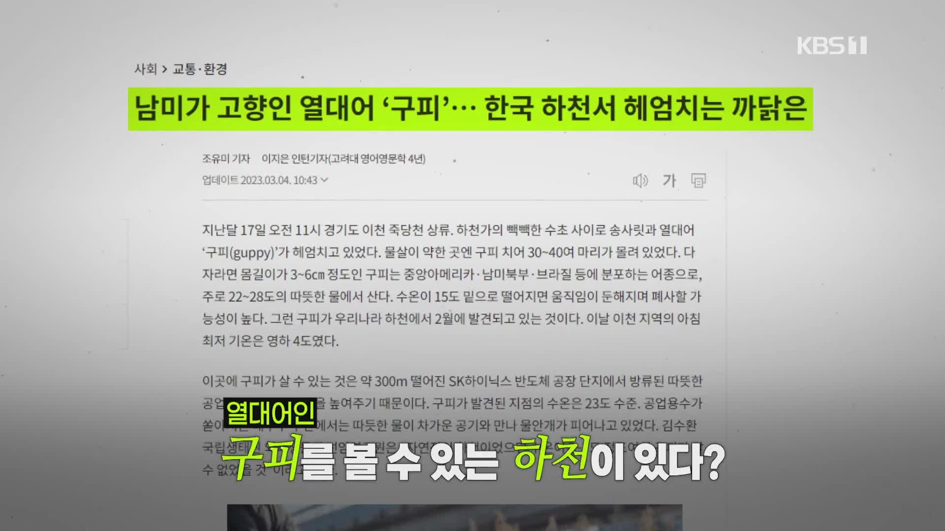 [크랩] ‘사계절 내내 열대어’ 국내 하천의 정체