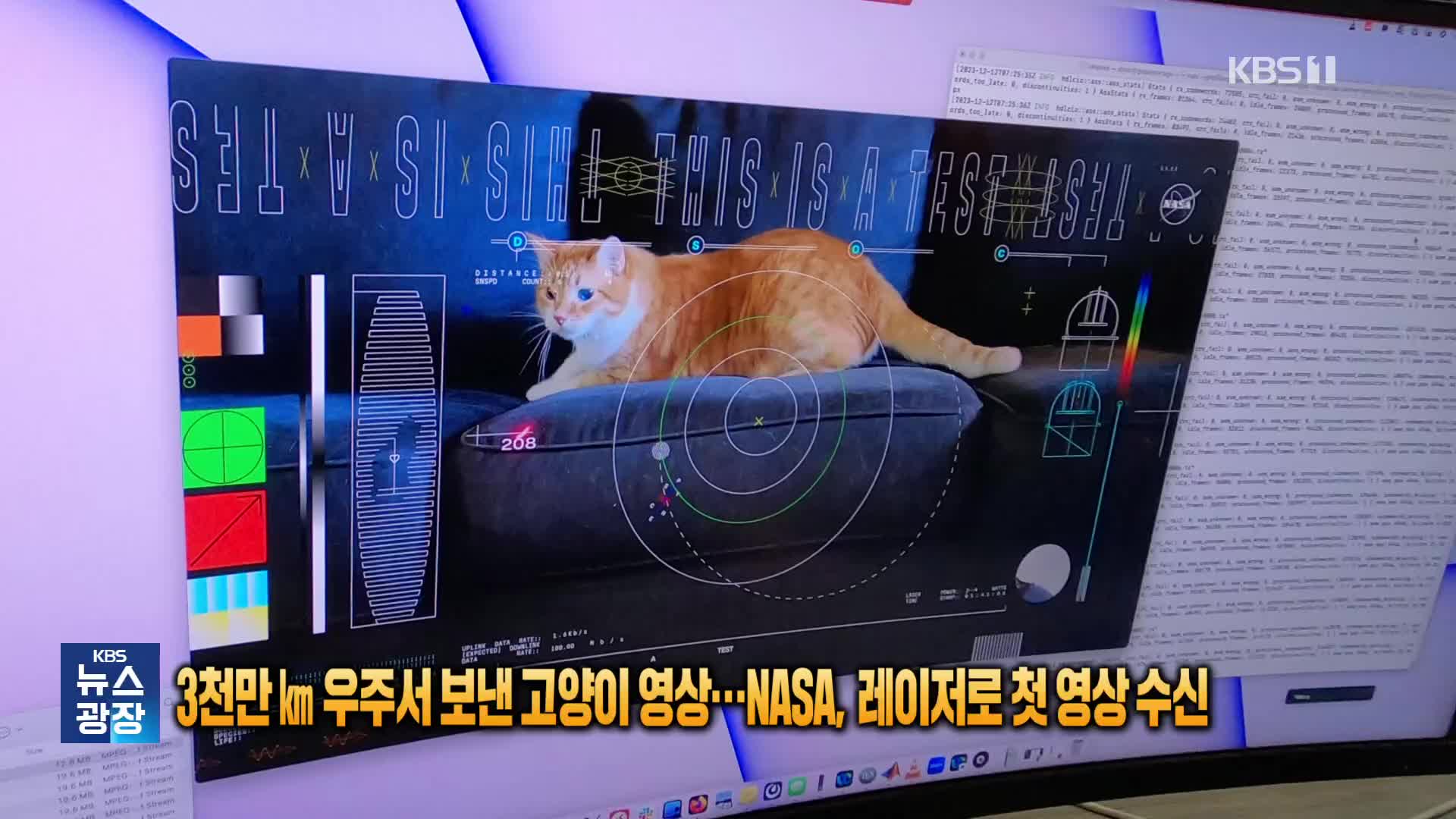 3천만㎞ 우주서 보낸 고양이 영상…NASA, 레이저로 첫 영상 수신 [잇슈 SNS] 