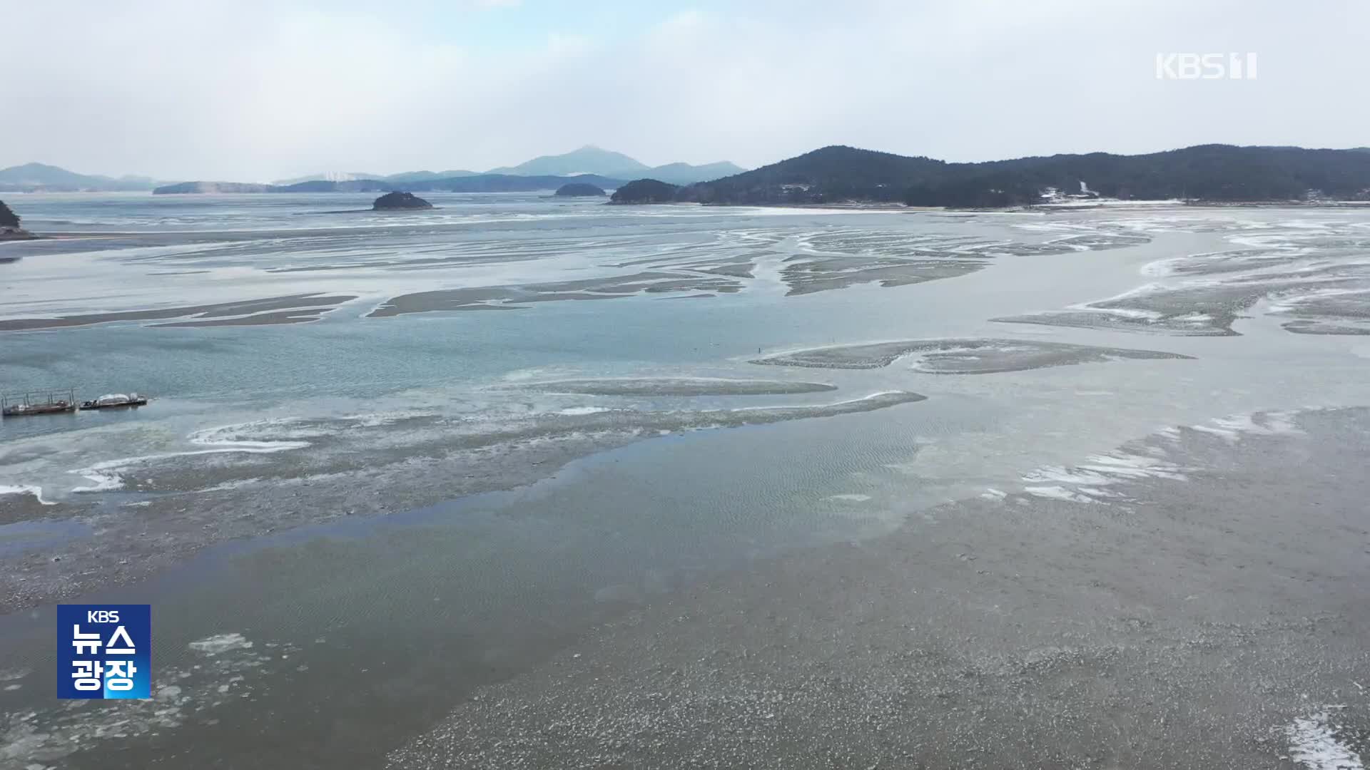 바다까지 얼었다…화훼·축산농가도 피해  