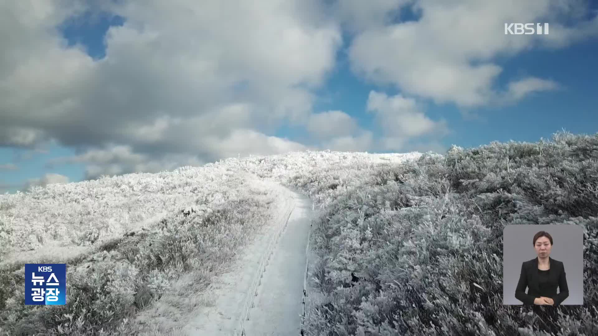 설국으로 변한 소백산…상고대 장관