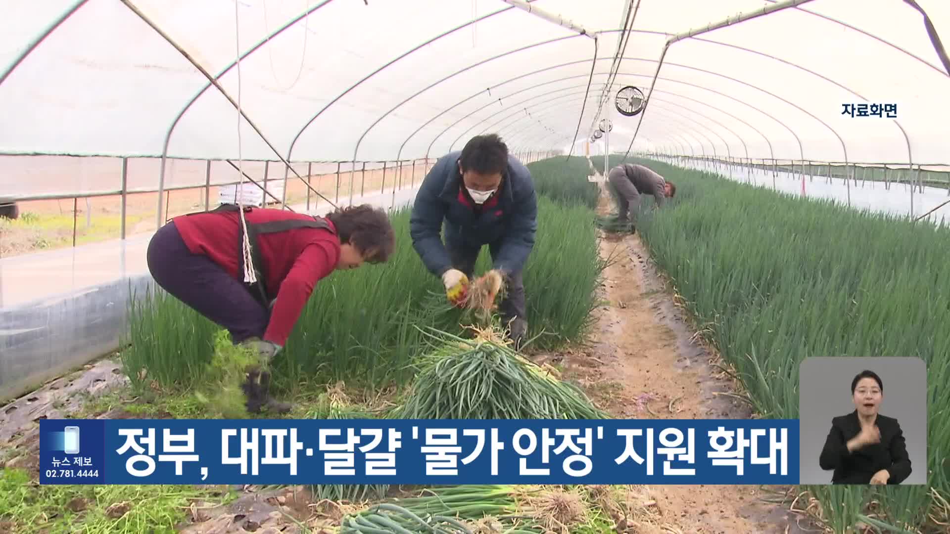 정부, 대파·달걀 ‘물가 안정’ 지원 확대