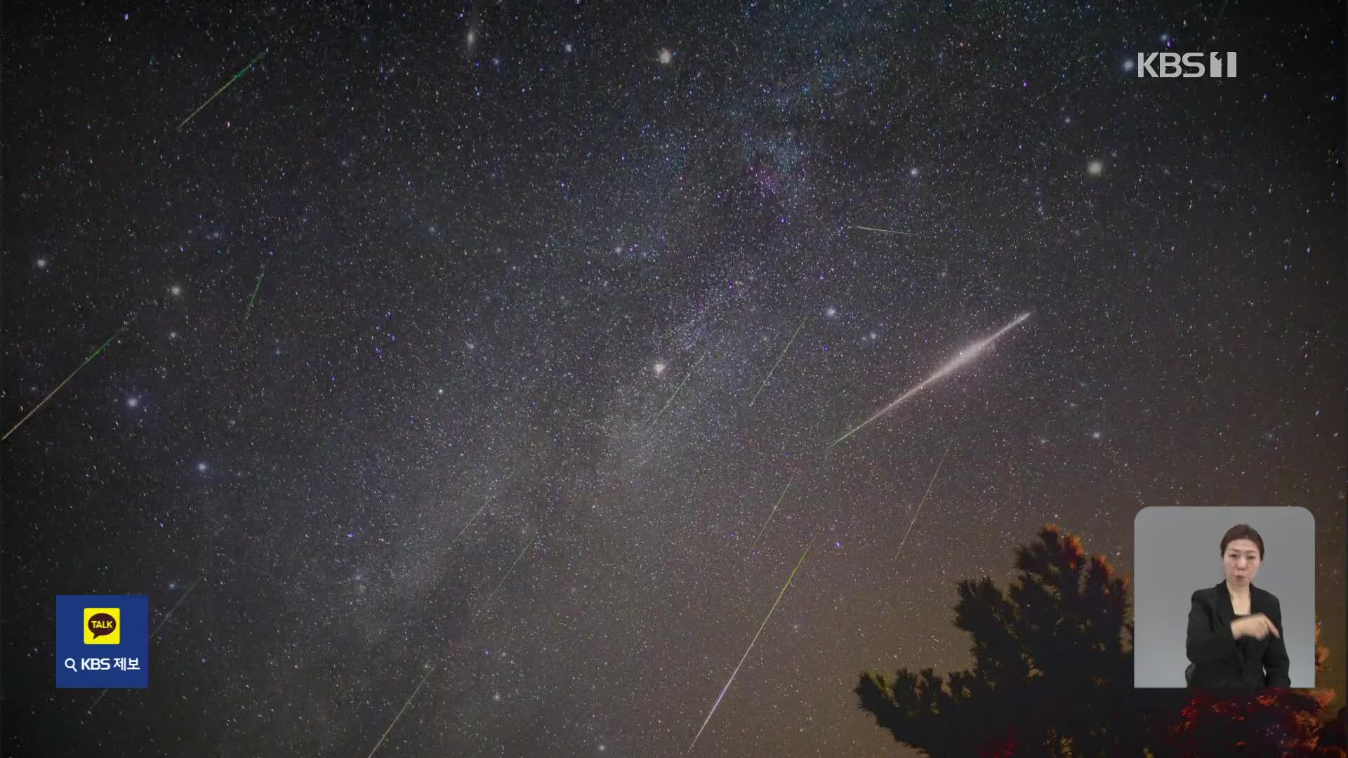 ‘별똥별·혜성’…올해 밤하늘 수놓을 우주쇼는?