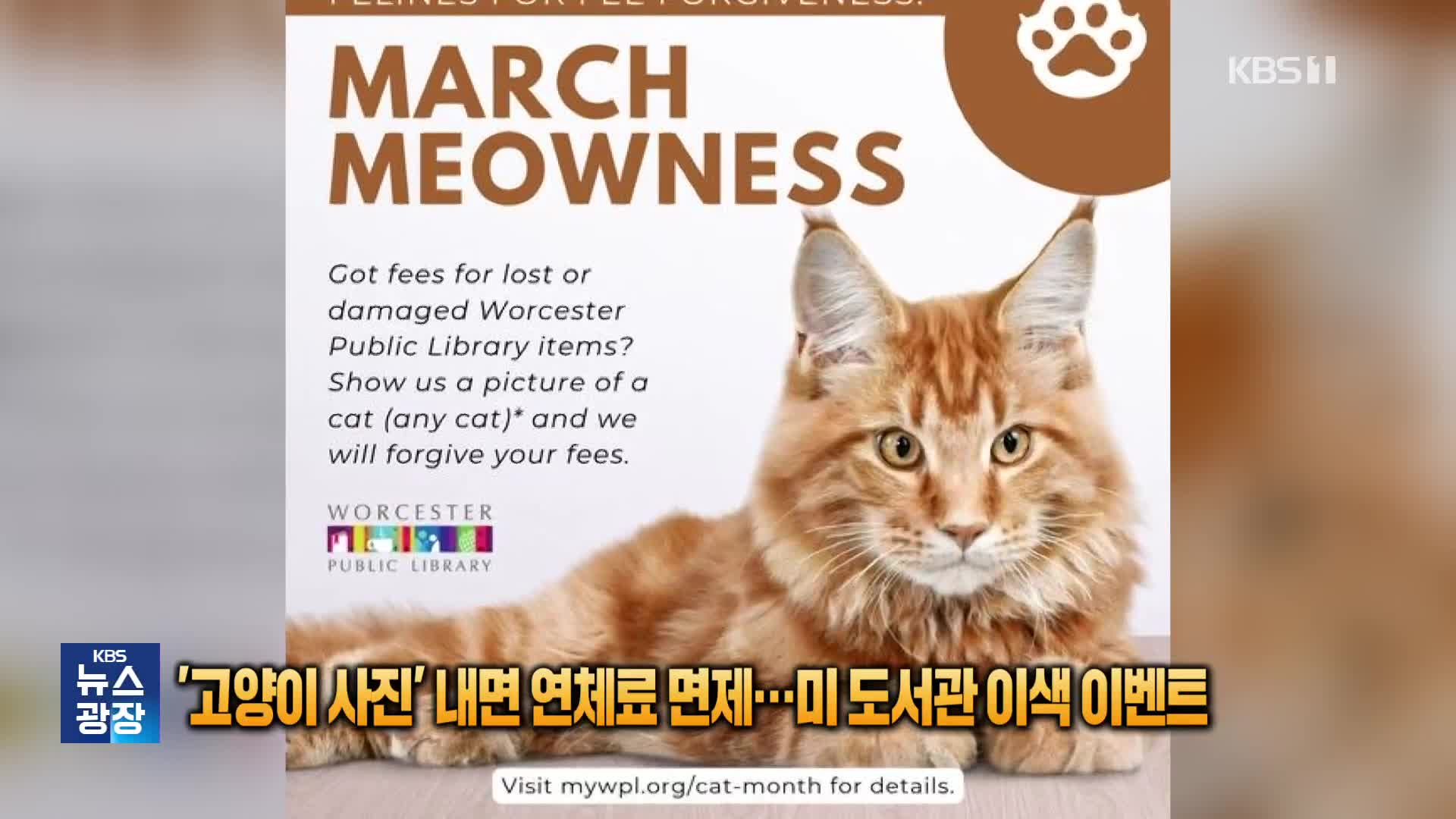 [잇슈 SNS] ‘고양이 사진’ 내면 벌금 면제…미 도서관 이색 이벤트