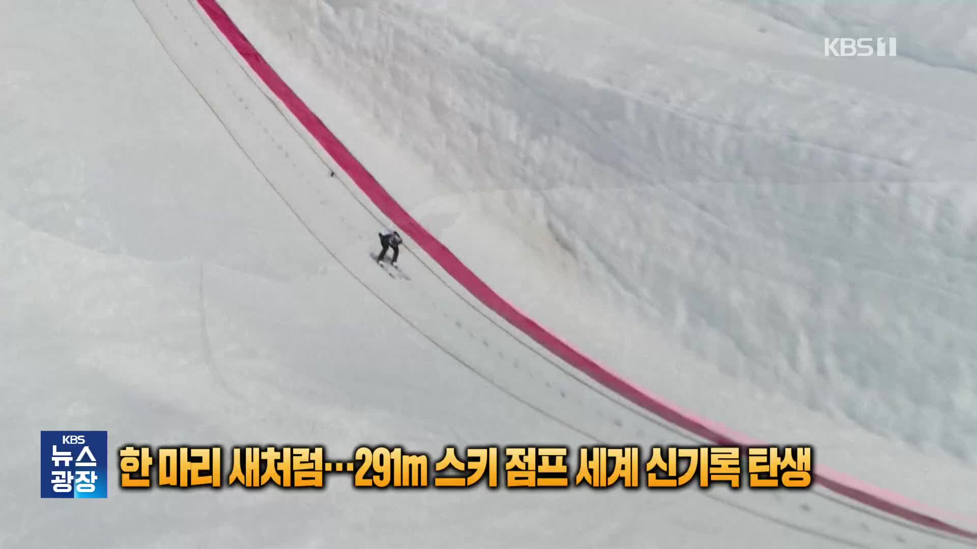[잇슈 SNS] 한 마리의 새처럼…291m 스키 점프 세계 신기록 탄생