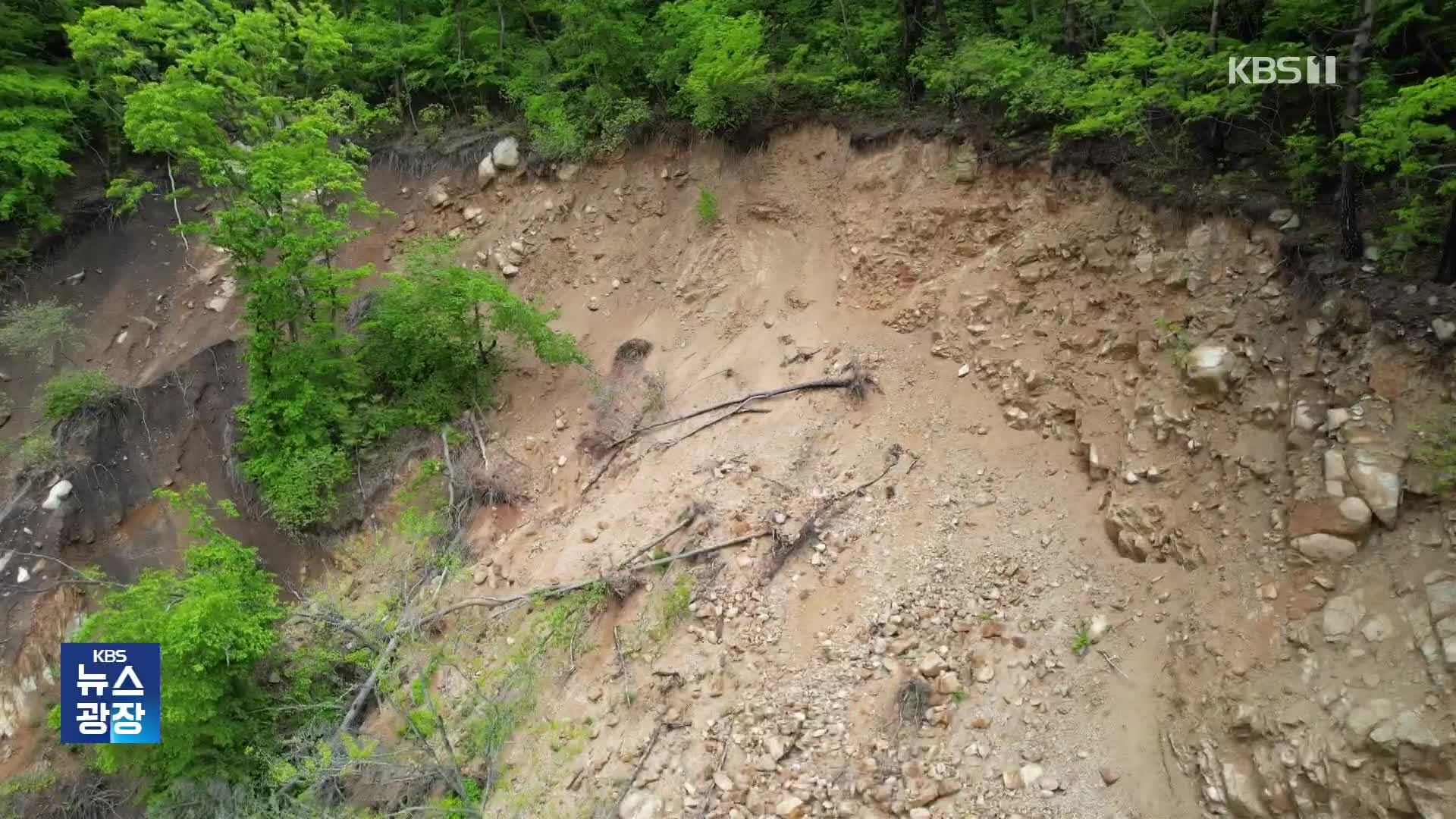 경주 토함산 ‘땅밀림 현상’…산사태 우려 40곳 추가 발견