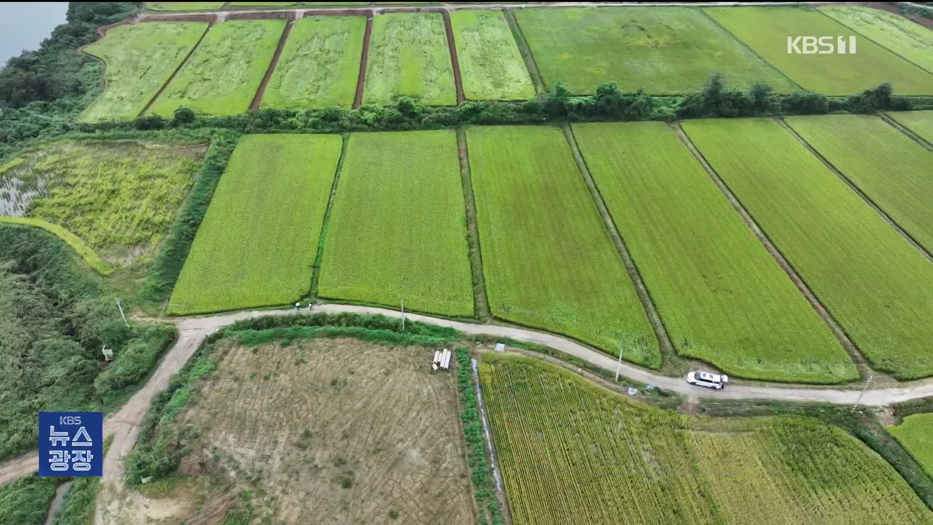 ‘농사는 농민이, 직불금은 땅주인이?’…직불금 불법 수탈 만연