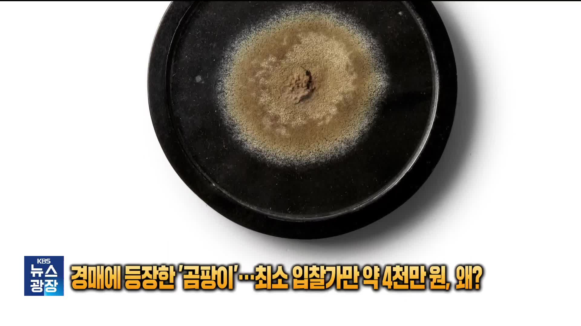 경매에 등장한 ‘곰팡이’…최소 시작가만 약 4천만 원, 왜? [잇슈 SNS] 