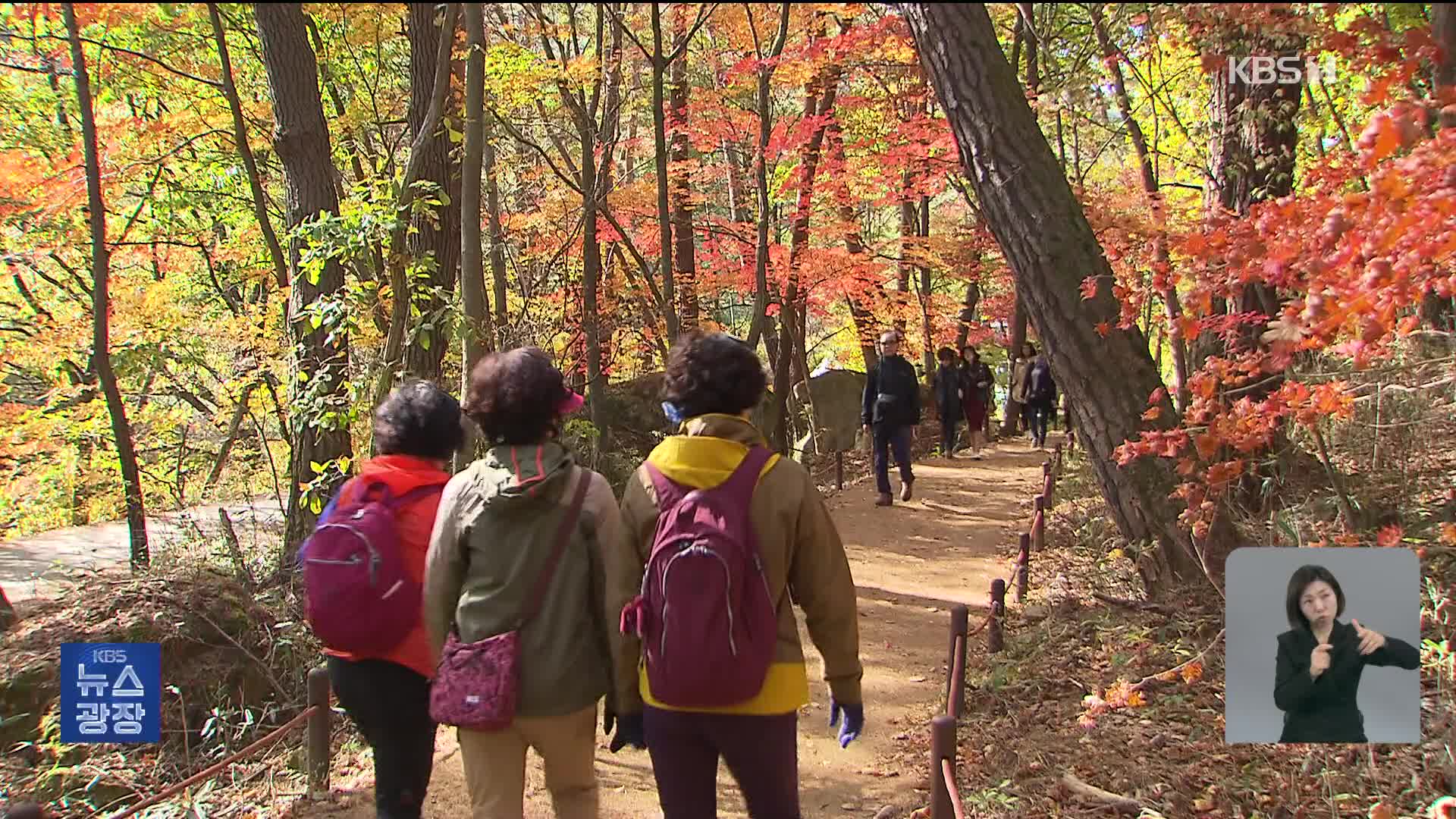 실족·추락 등 산악사고 주의… 가을에 몰려