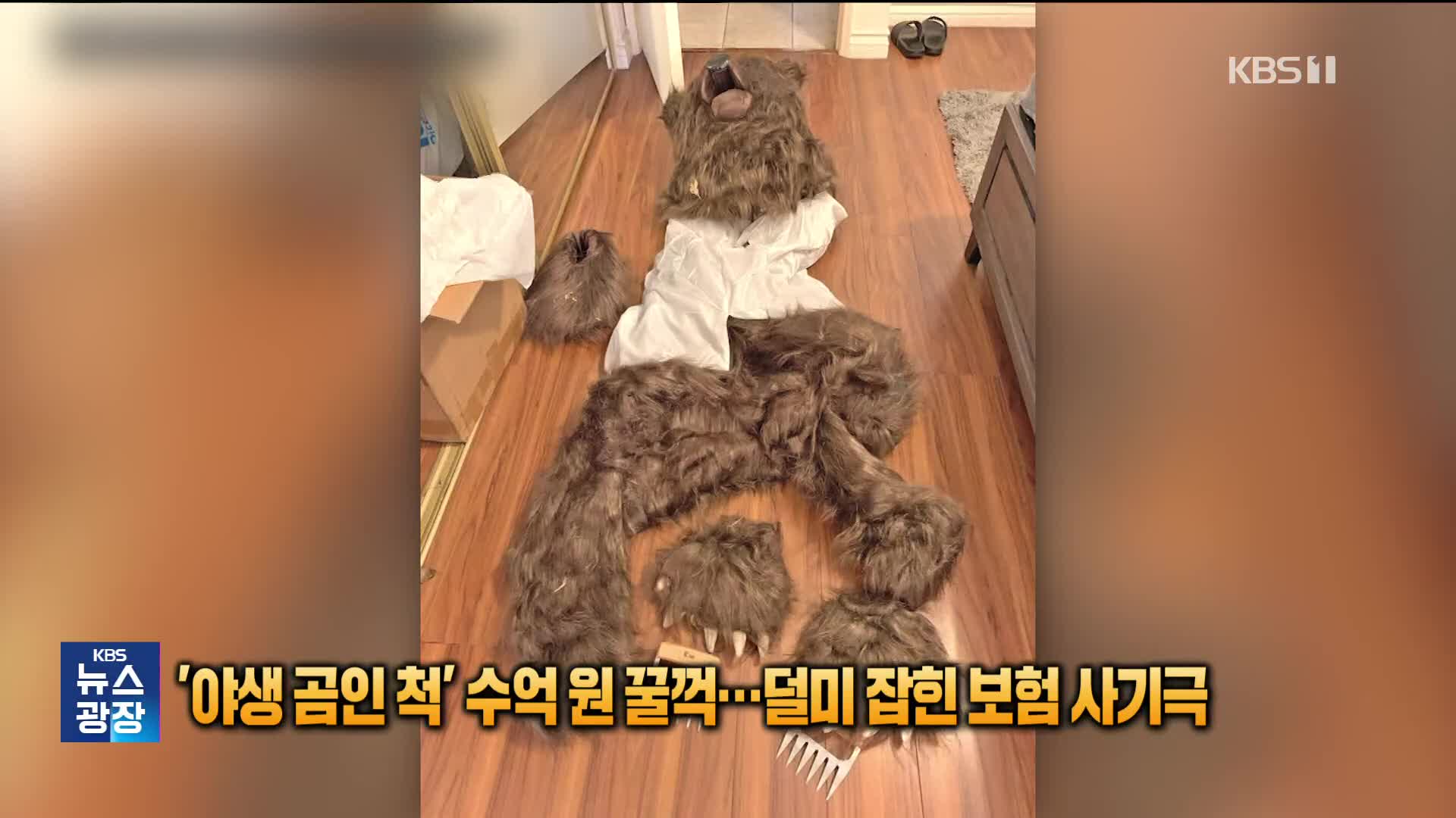 야생 곰 인척 수억 원 꿀꺽…덜미 잡힌 보험 사기극