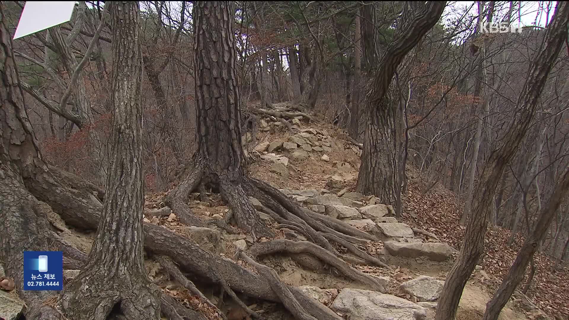 탐방로에 몰리며 ‘바위산’된 설악산…탐방객 분산 시급