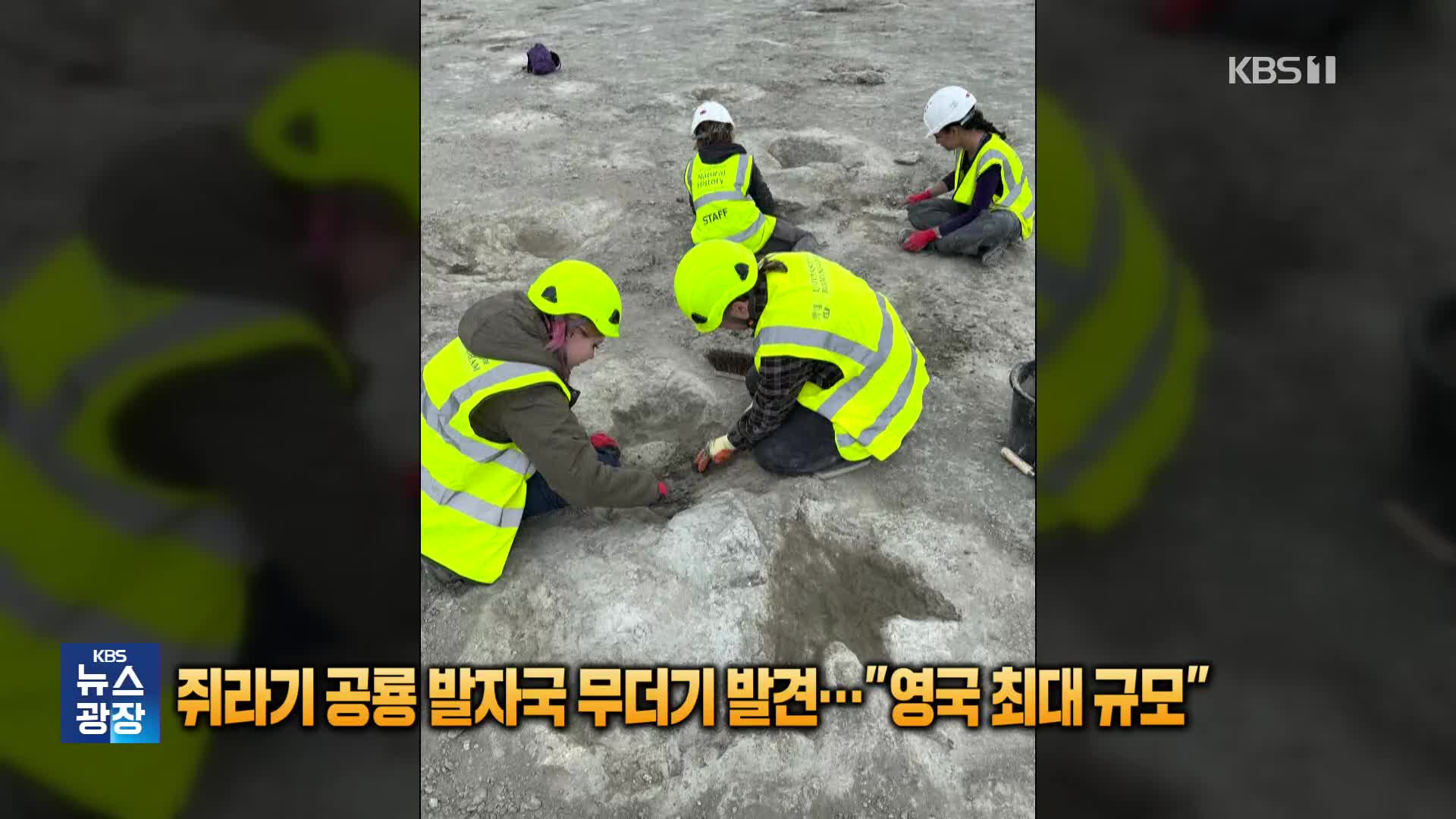 1억 6,600만 년 전 공룡 발자국 무더기 발견…“영국 최대 규모” [잇슈 SNS]