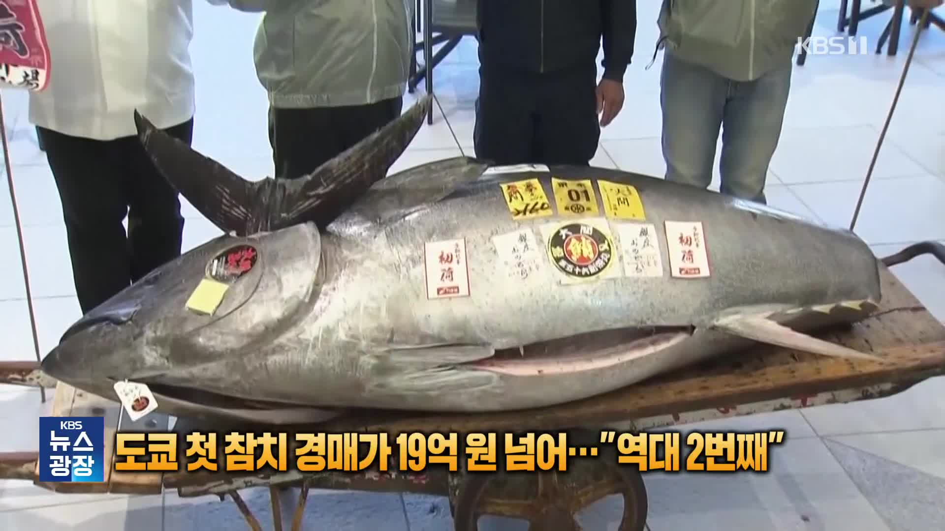 도쿄 첫 참치 경매가 19억 원 넘어…“역대 2번째”