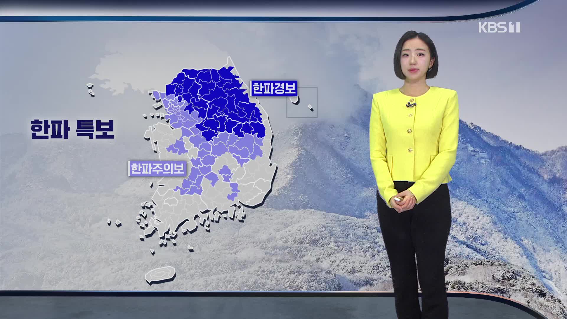 [주말 날씨] 주말 한파 절정, 서울 체감 -17도…호남·제주 많은 눈