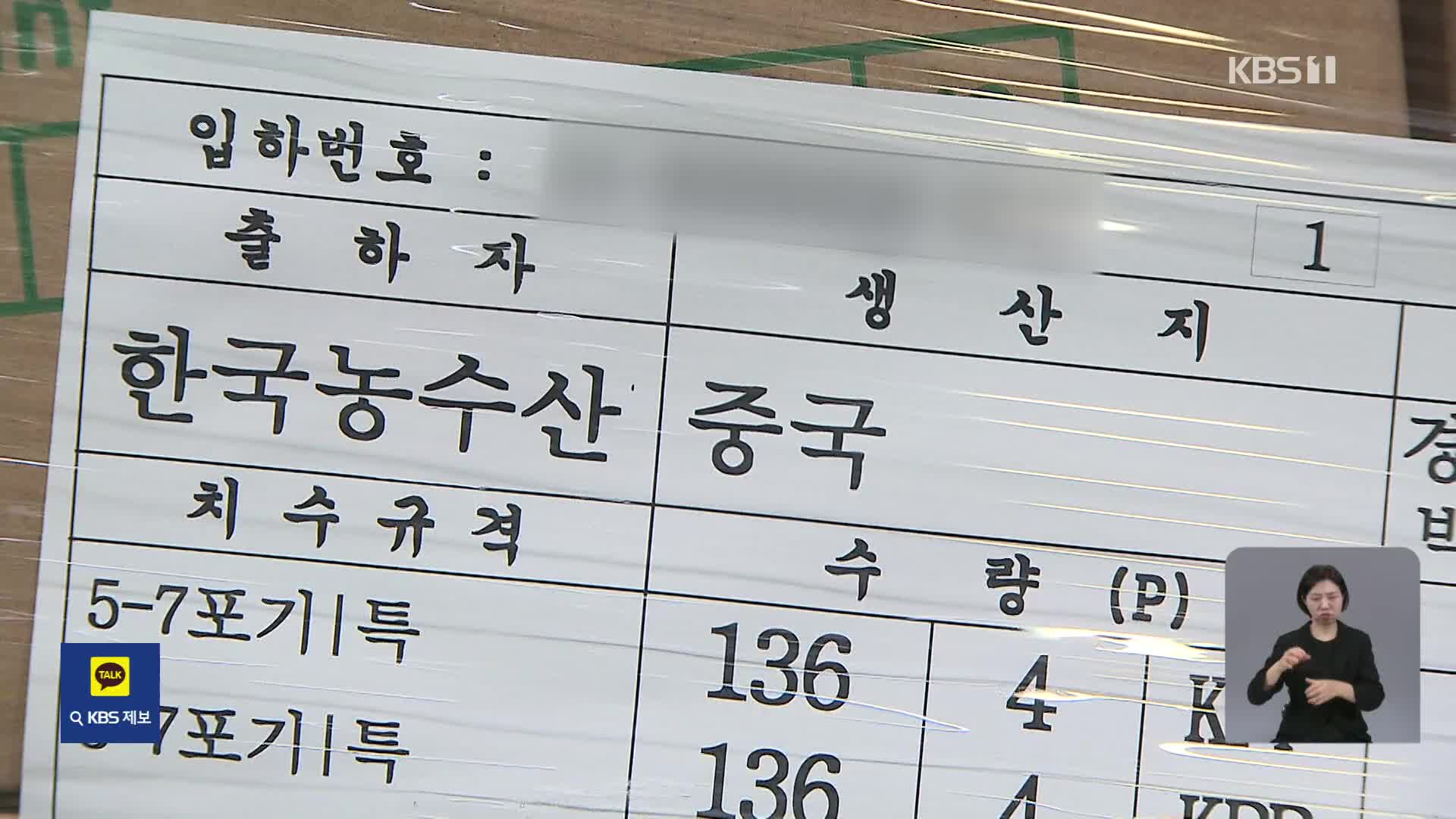 “가락시장에 중국산이?”…무·배추 가격 안 떨어지는 이유