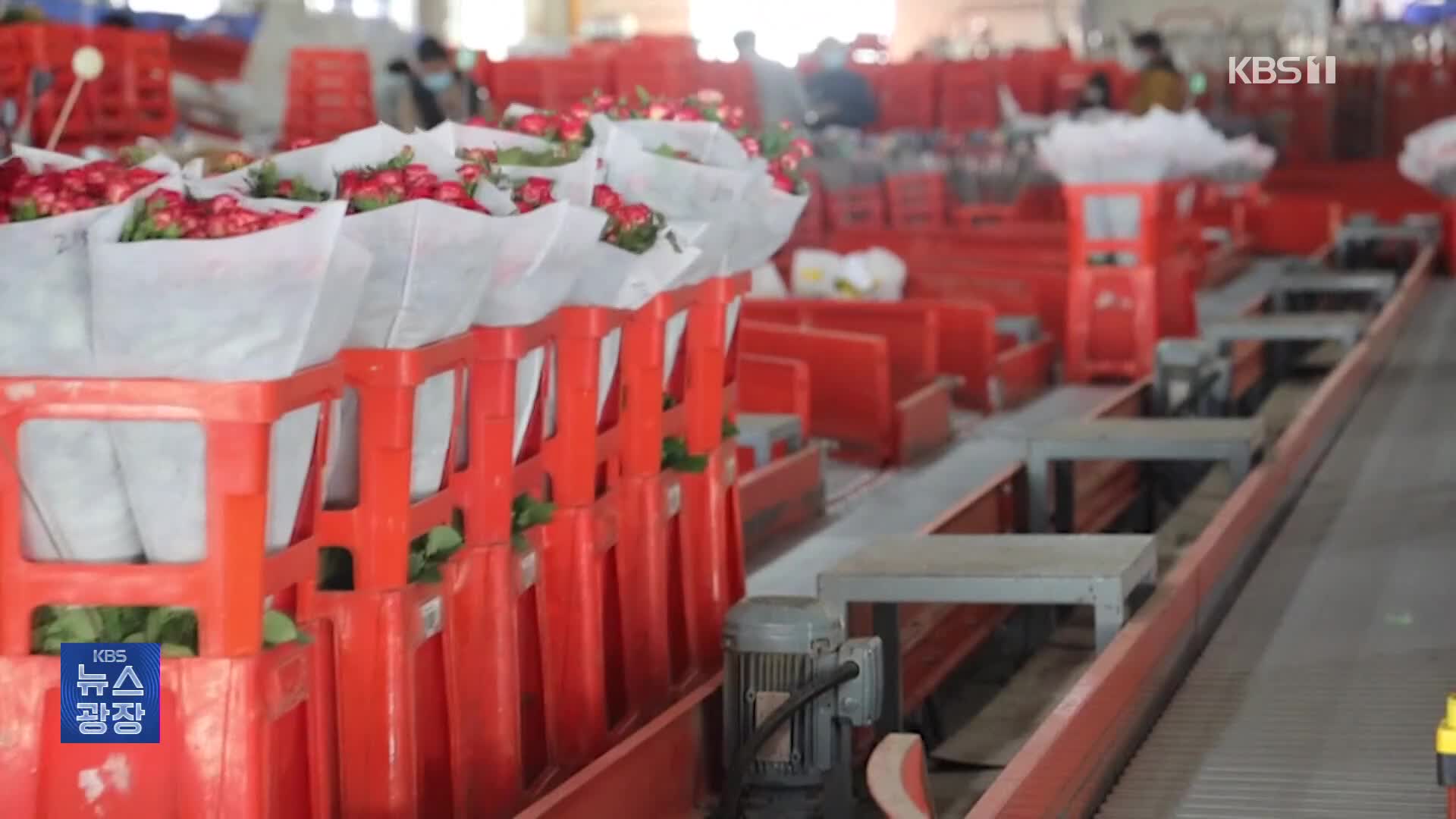 중국에서 중동까지 수출길, 꽃 산업도 AI로 최적화