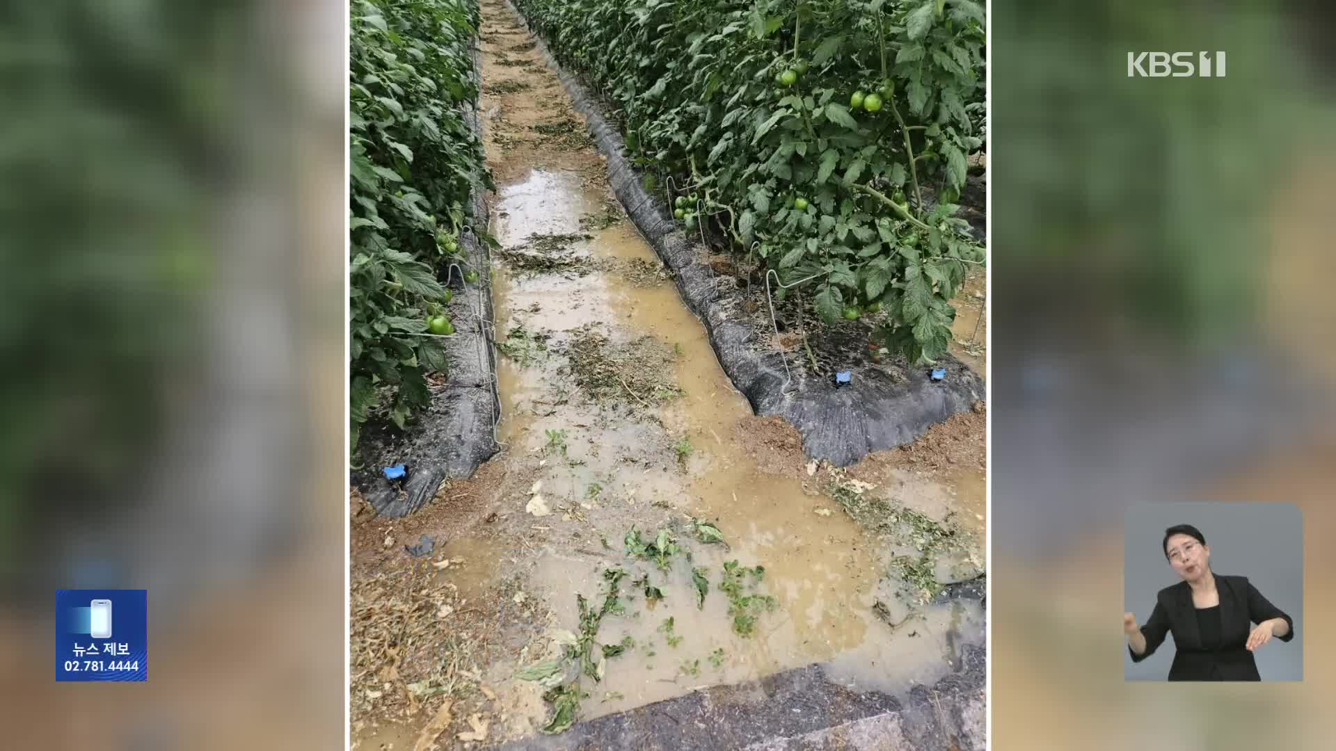 물에 잠기고 차량도 전복…비닐하우스도 침수
