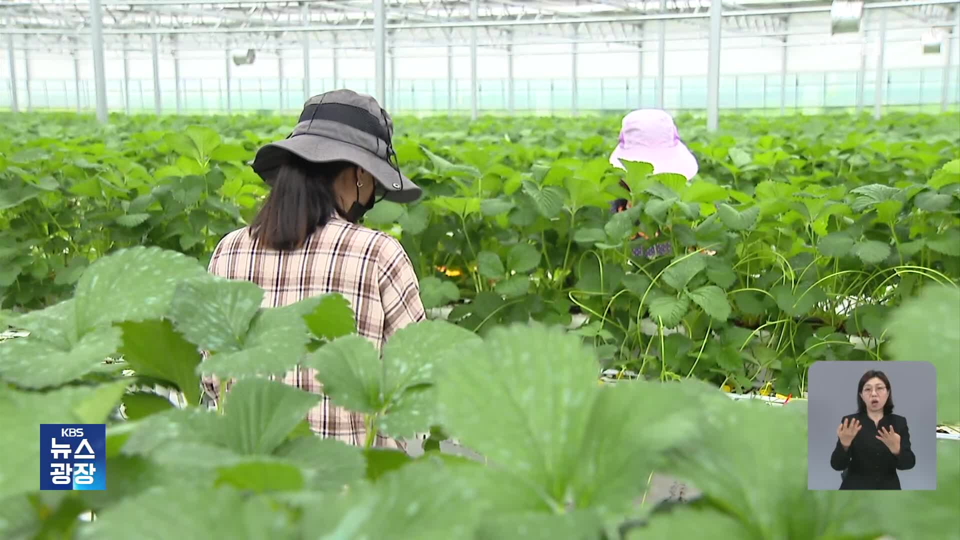‘억대 소득’ 청년 농부 시대…관건은 ‘정주 여건’