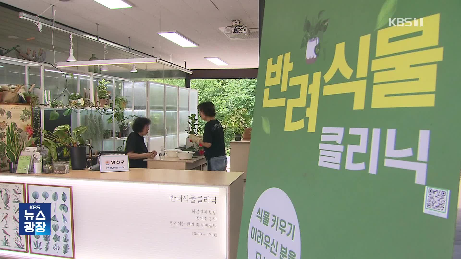 “아픈 식물 치료합니다!”…반려식물로 우울감 해소