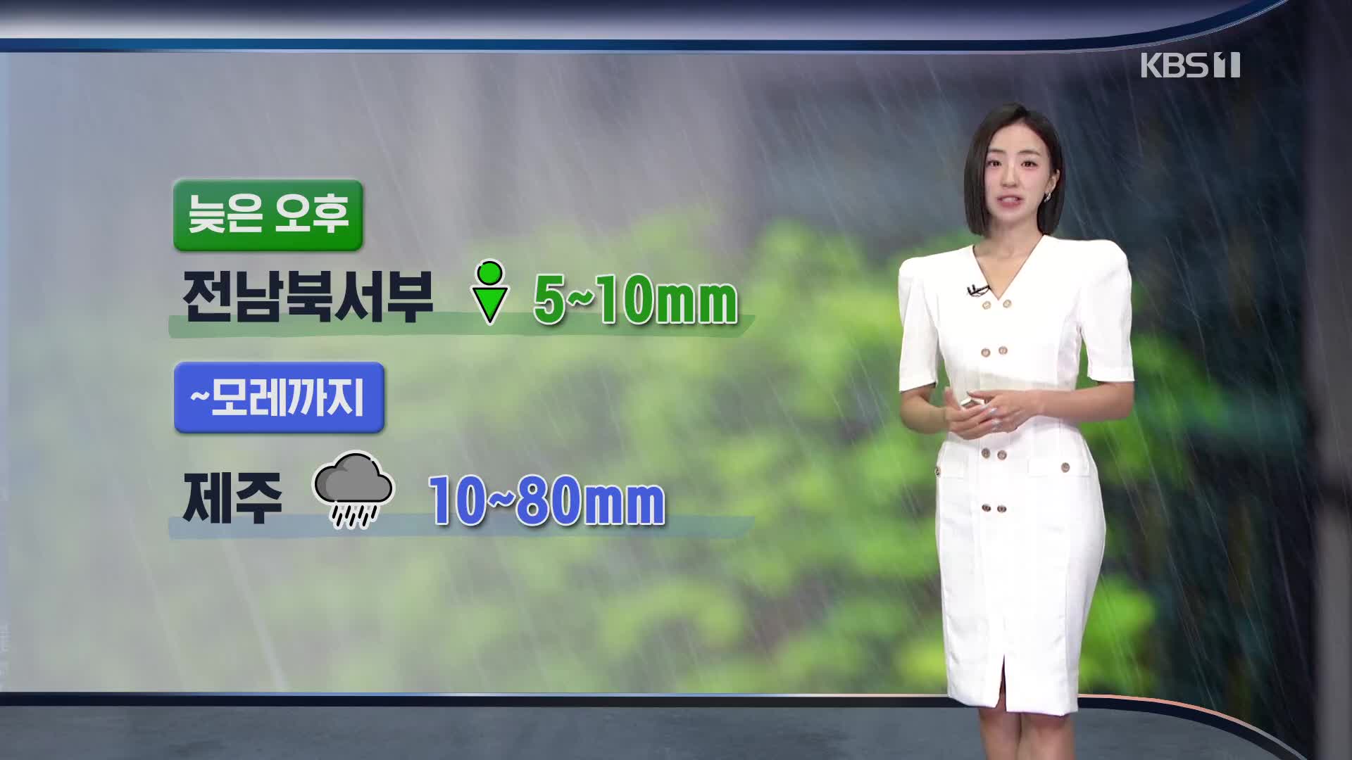 [주말 날씨] 서쪽 지역 35도 안팎 폭염…제주 비