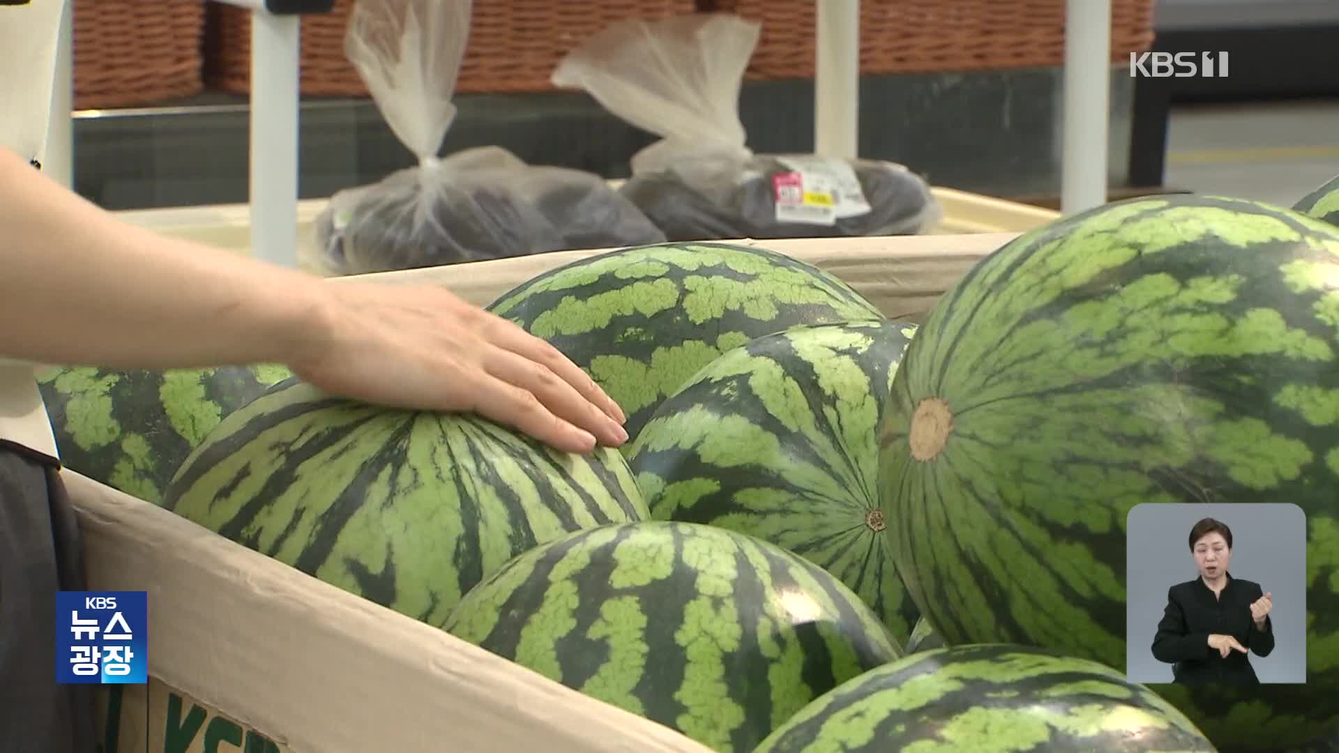 폭염에 농수산물 가격 급등…밥상 덮친 ‘히트플레이션’