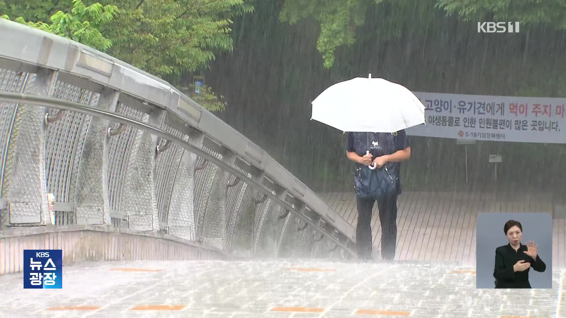중부지방 본격 장맛비…내일까지 최대 200mm 예보
