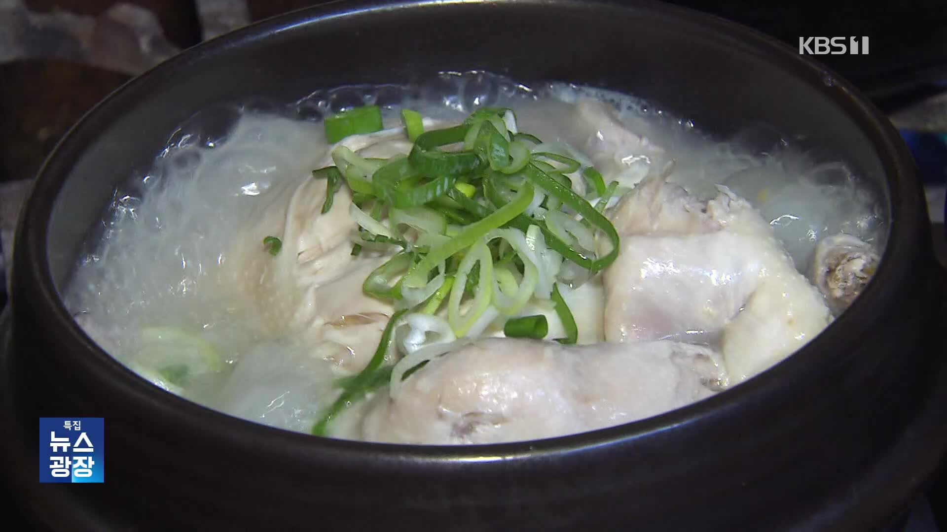 1만 5천 원 삼계탕에 “감사”…복날 준비도 ‘가성비’