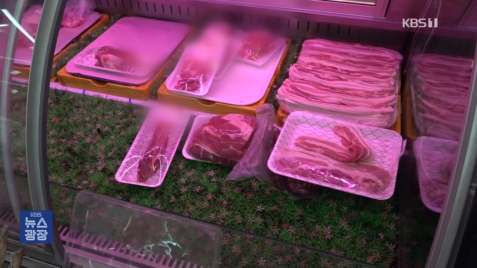 소비쿠폰 지급 맞춰 고기 풀자…멕시코산이 국산 둔갑 ‘기승’