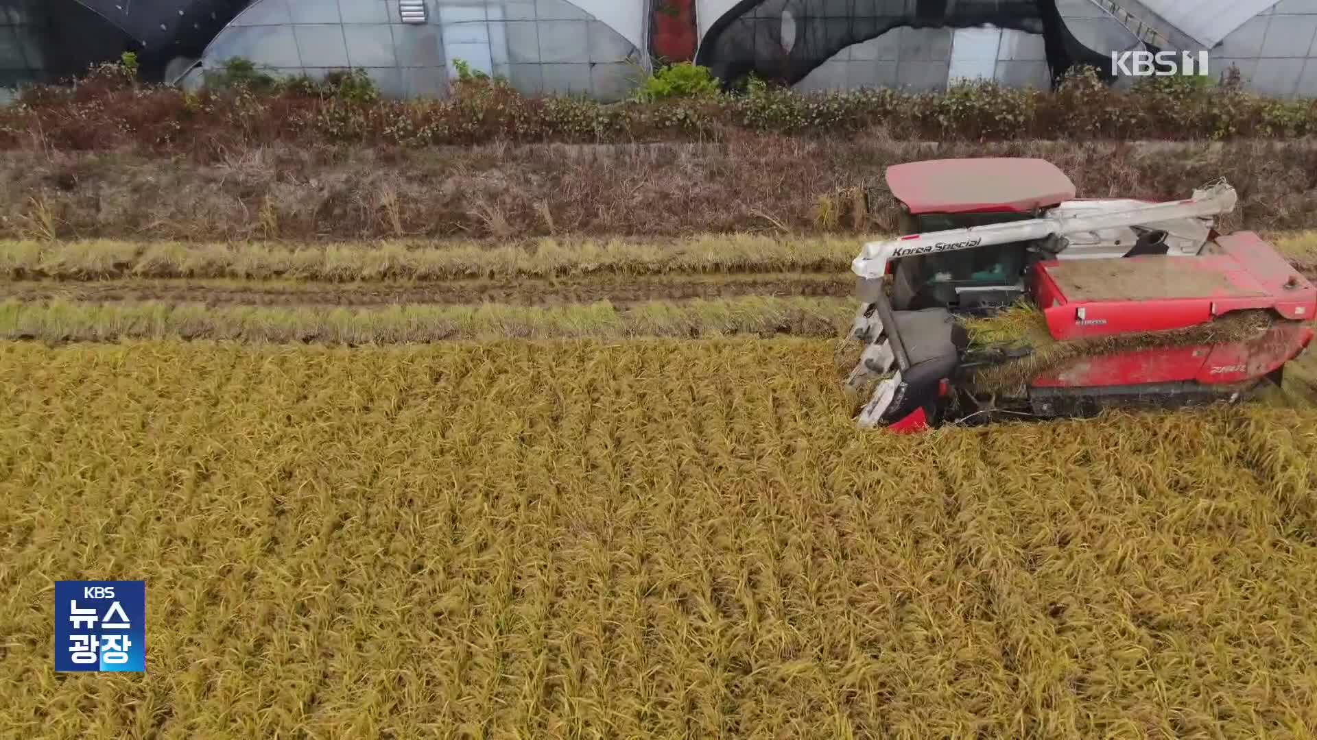 “쌀값 6만 원?” 급격한 상승에 사상 첫 “양곡 대여”