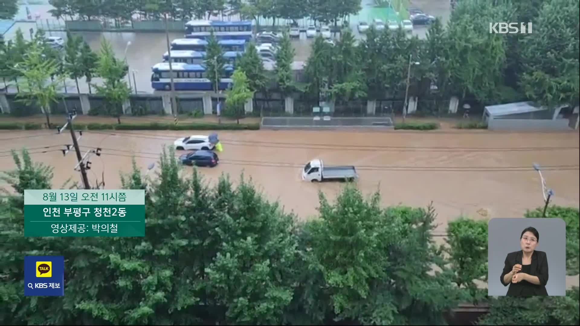 제보로 본 집중호우 상황