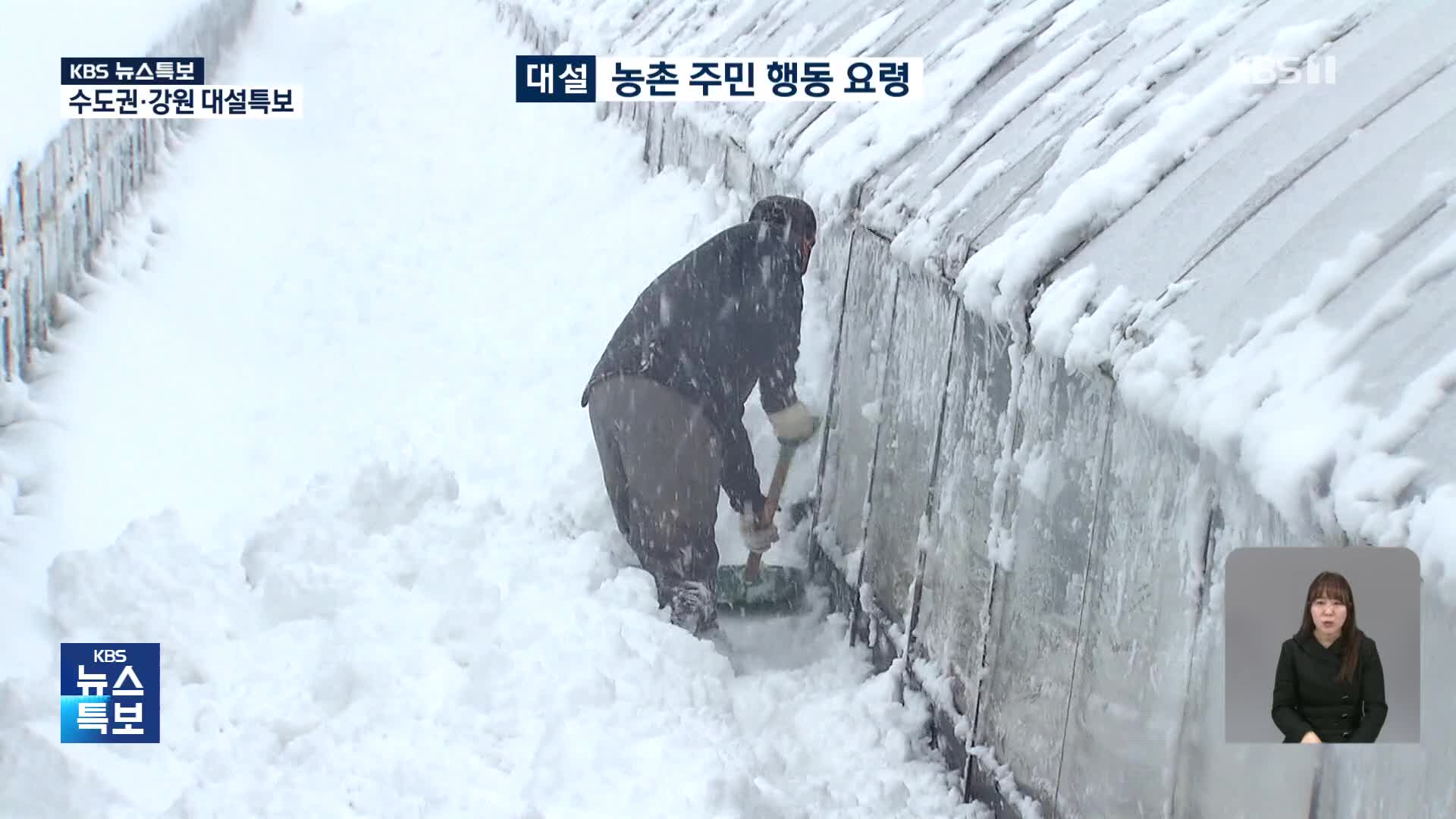 [농촌 주민 행동 요령] 비닐하우스·축사 쌓인 눈 ‘주의’