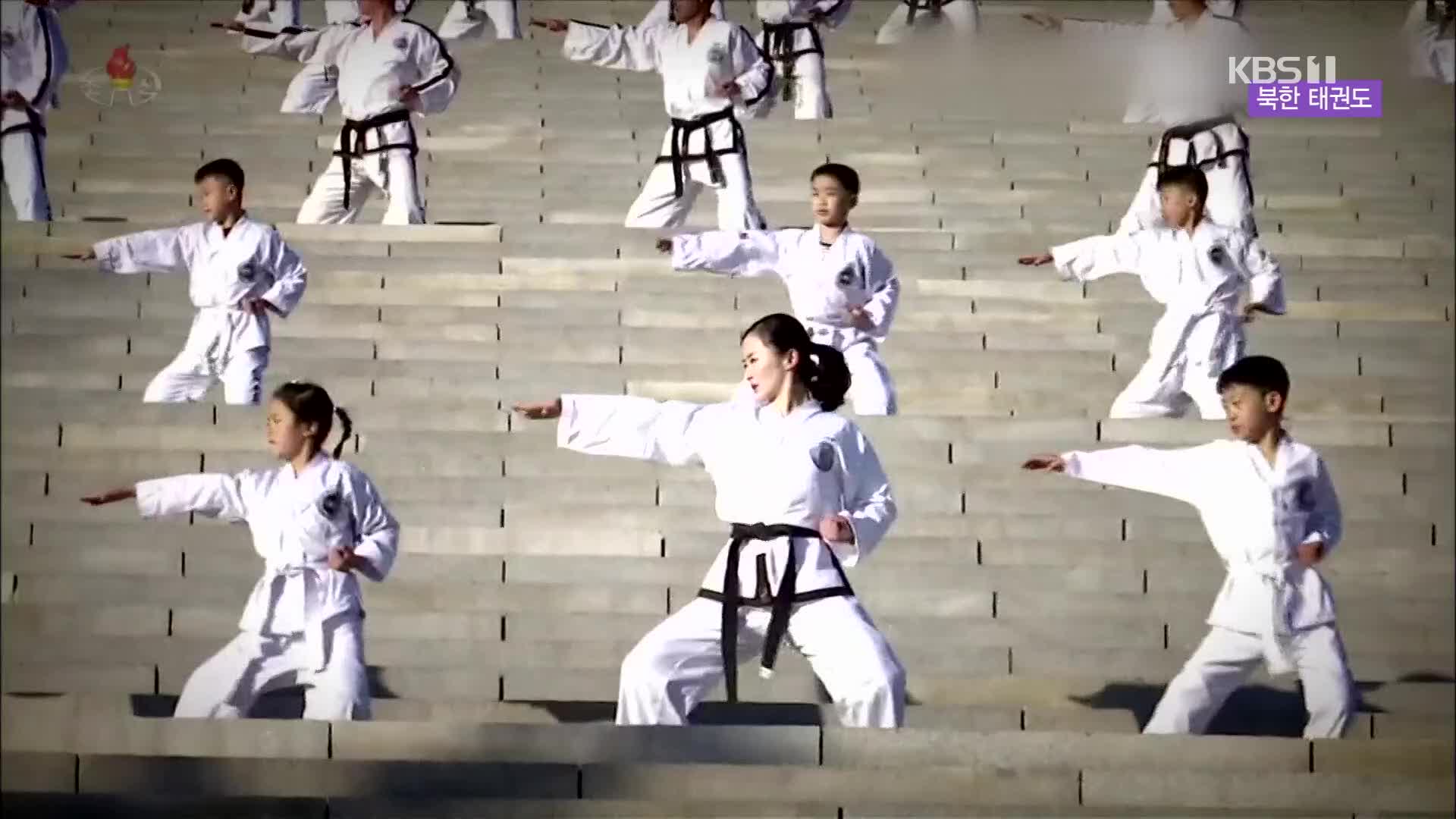 [북한 영상] 북한 태권도