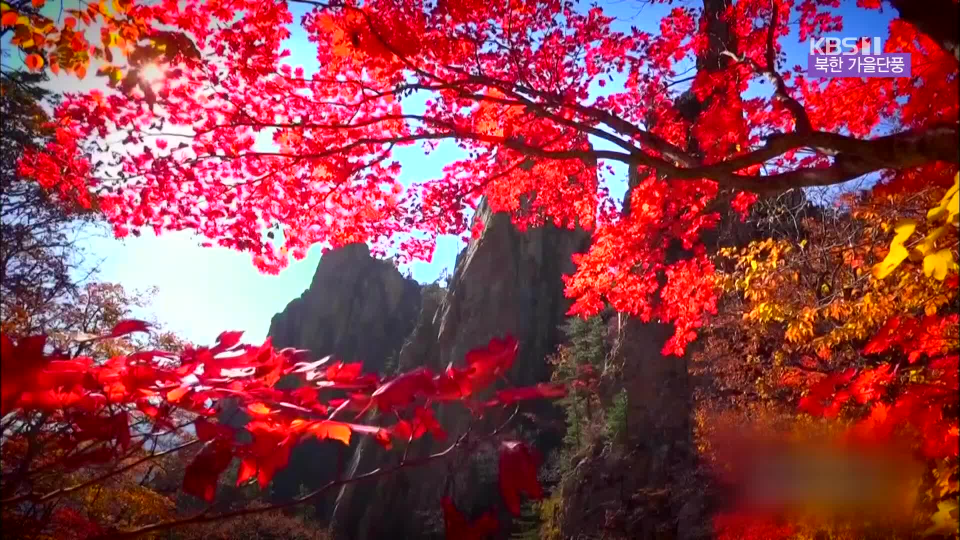 [북한 영상] 북한 가을단풍