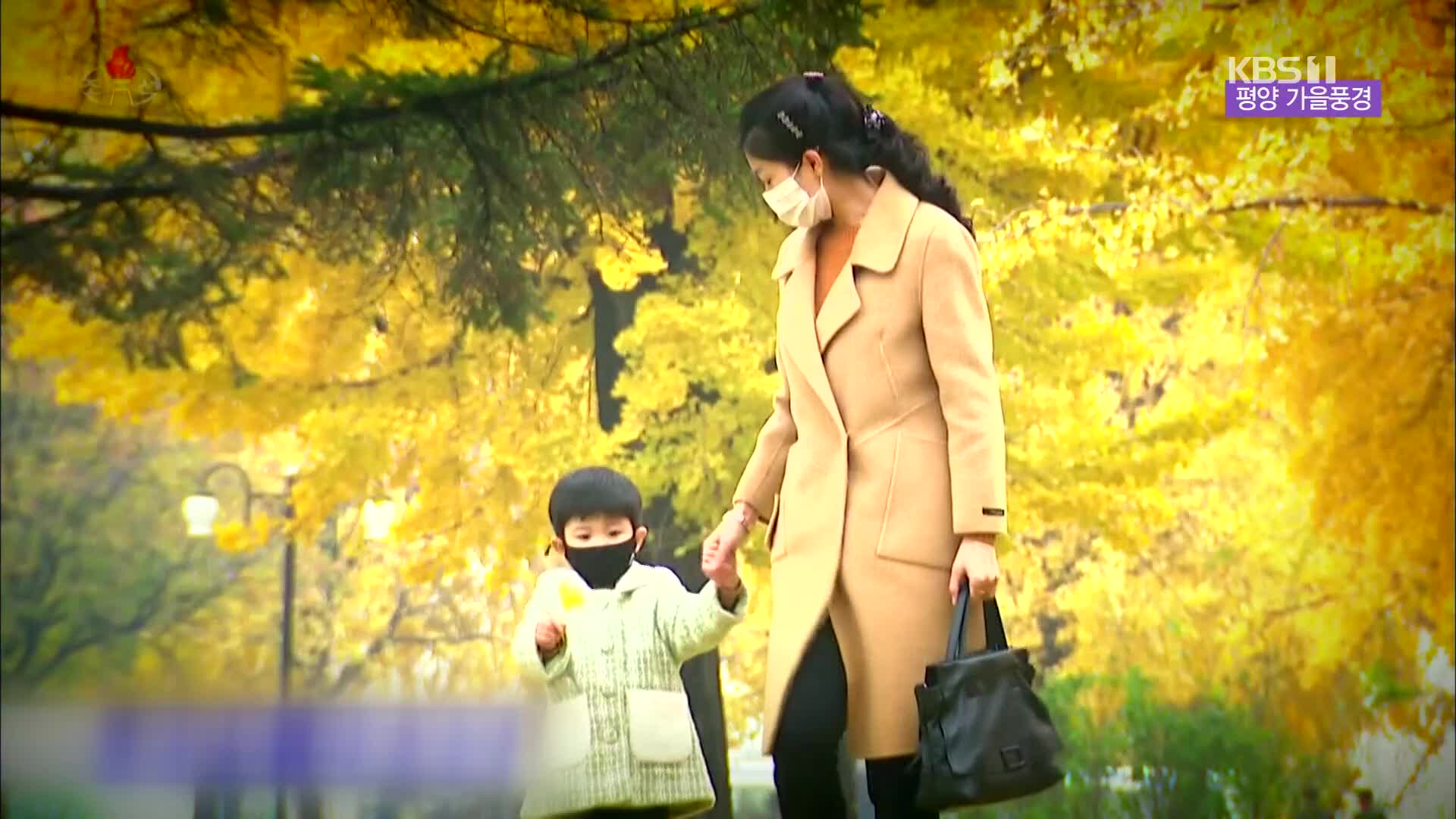 [북한 영상] 평양 가을풍경