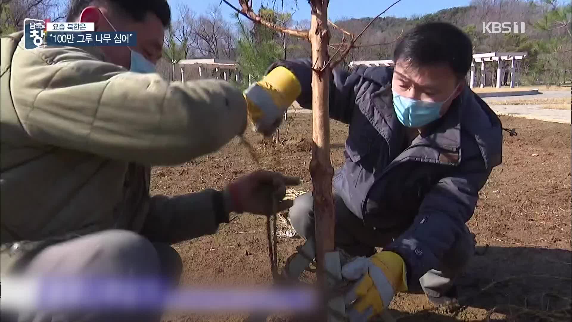 [요즘 북한은] 산림 황폐 심각한 北…백만 그루 나무 심기 외