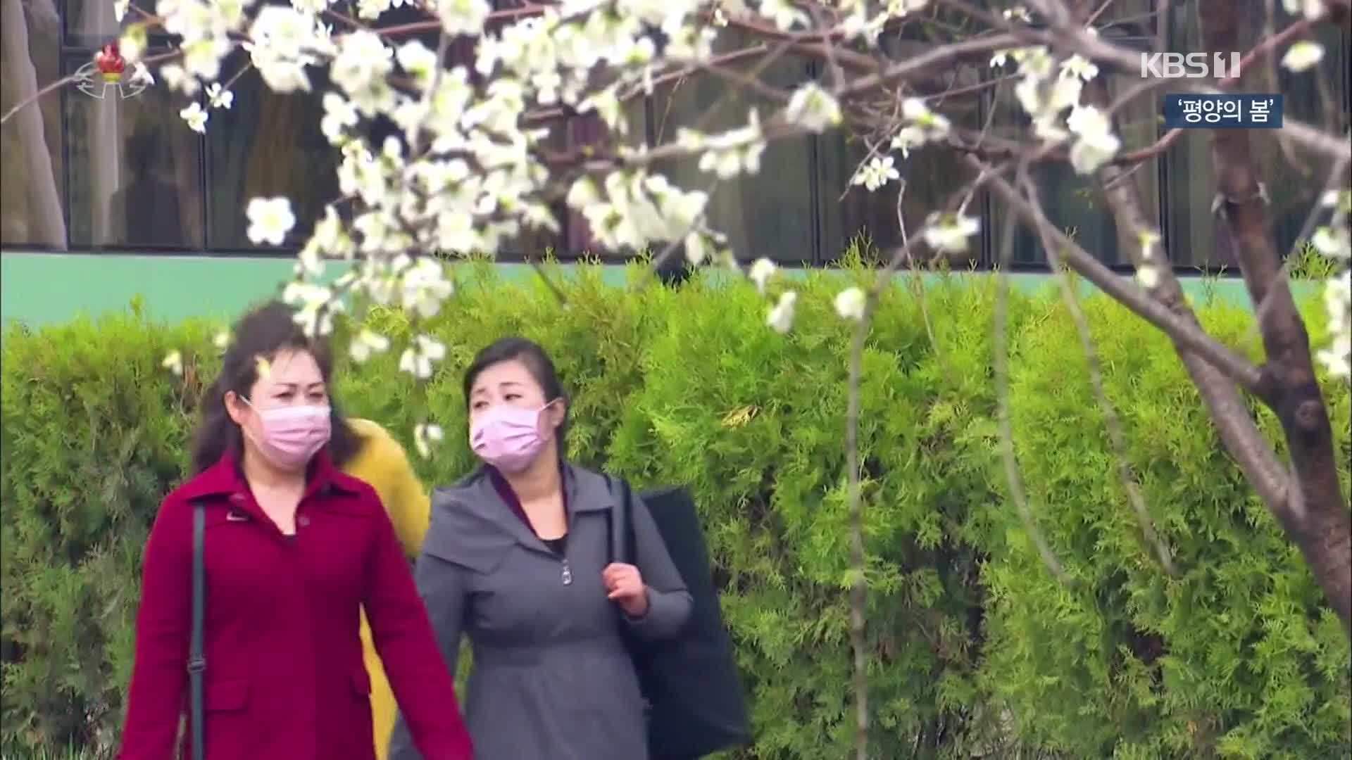 [북한 영상] ‘평양의 봄’
