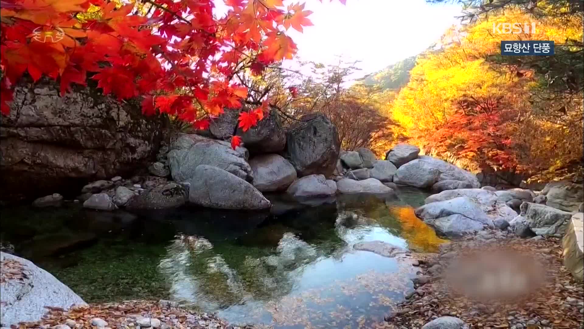 [북한 영상] 묘향산 단풍